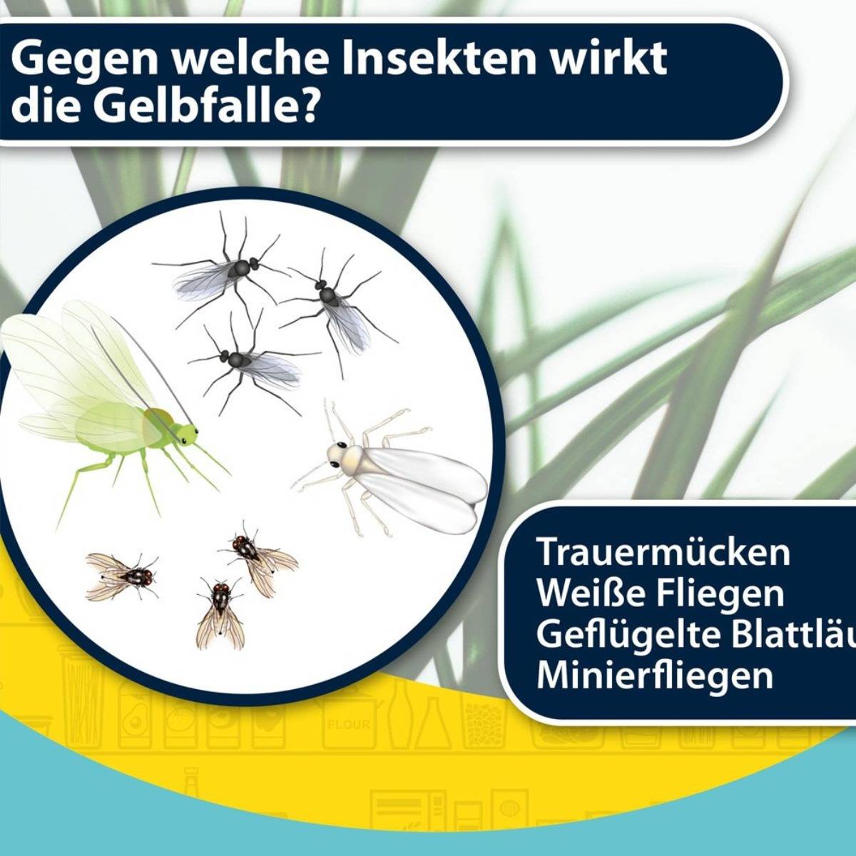 100er-Pack Gelbe Klebetafeln für Insekten - Trennbare PP-Fallen für Garten, Gewächshaus und Topfpflanzen