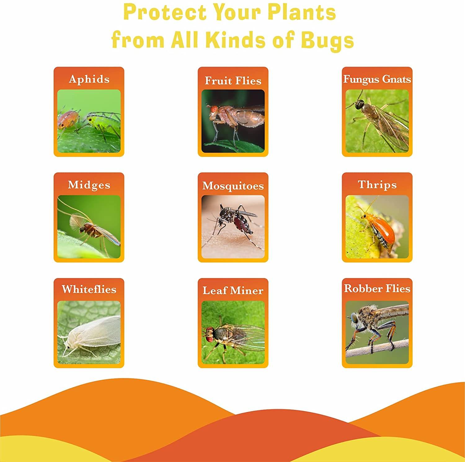 Plakat mit dem Titel „Schützen Sie Ihre Pflanzen vor allen Arten von Insekten