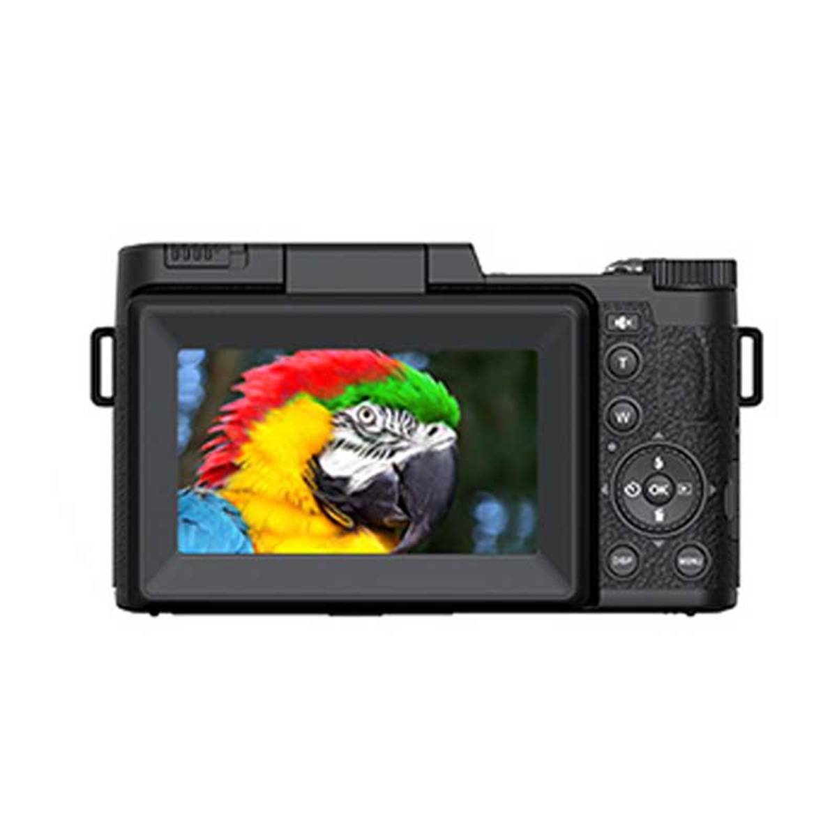 Rückansicht einer digitalen Kamera, die auf ihrem Bildschirm ein Nahaufnahmefoto eines bunten Papageis anzeigt.