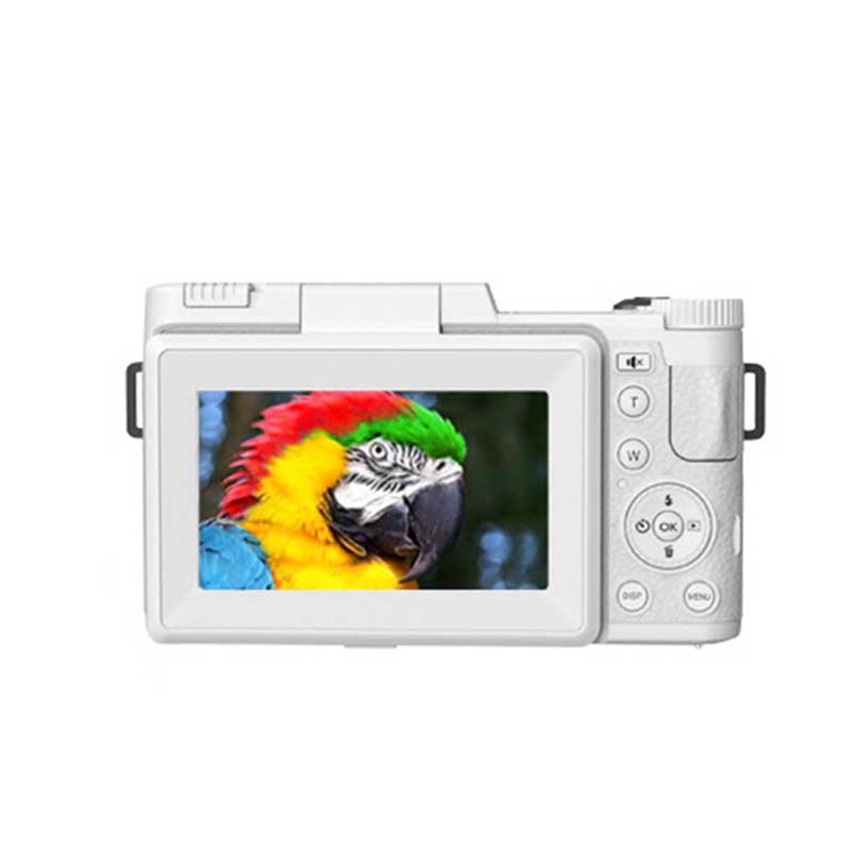 Rückansicht einer digitalen Kamera, die einen bunten Papagei auf ihrem LCD-Bildschirm zeigt, mit Steuertasten auf der rechten Seite.