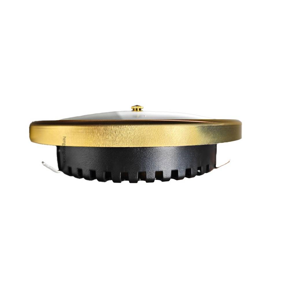 Runde schwarze Lautsprechermembran mit goldener Einfassung und silberner zentraler Kappe auf weißem Hintergrund.