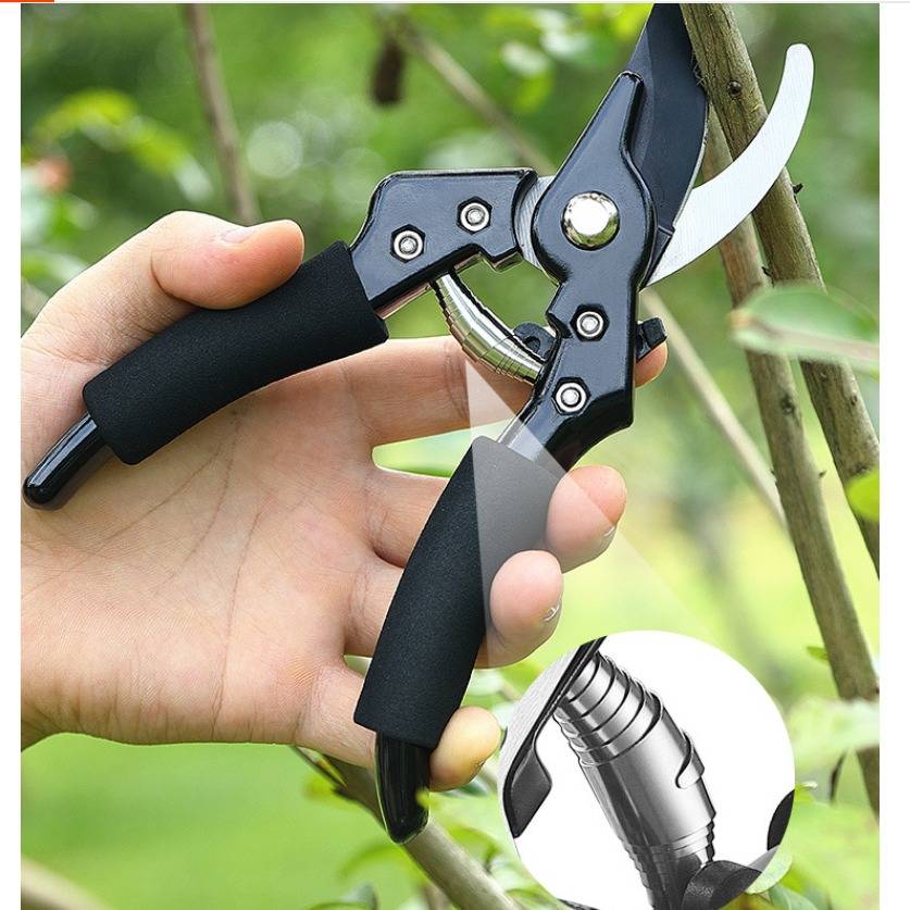 Hand, die eine Gartenschere hält und einen Weinstock oder Stängel schneidet; die Einfügung zeigt den Federmechanismus des Werkzeugs.