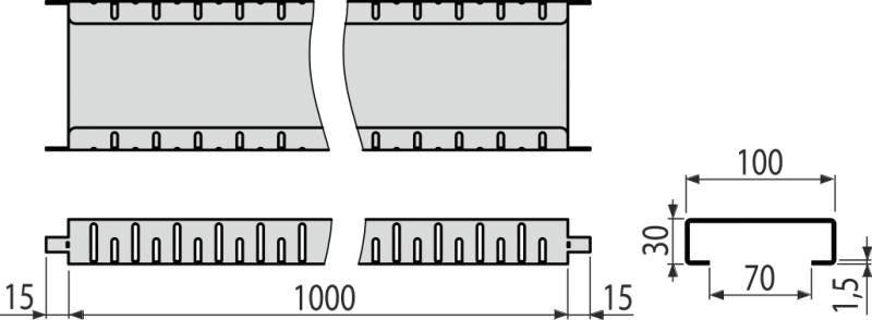 Technische Zeichnung einer geschlitzten Metallhalterung oder Schiene mit Vorder- und Seitenansichten mit den Abmessungen 1000, 100, 70, 30 und 15.