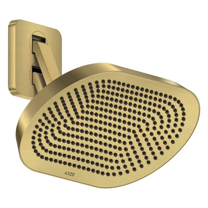 Goldener ovaler, an der Wand montierter Duschkopf mit vielen kleinen Sprühdüsen und einem schwenkbaren Arm vor weißem Hintergrund.