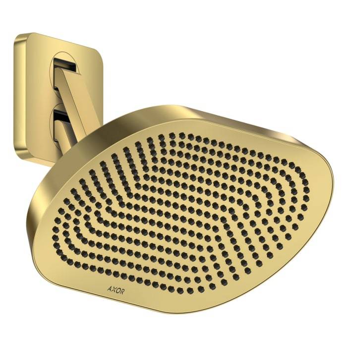 Goldene wandmontierte Duschkopf mit ovalem Sprühgesicht und vielen Düsen, angewinkelt vor weißem Hintergrund dargestellt.