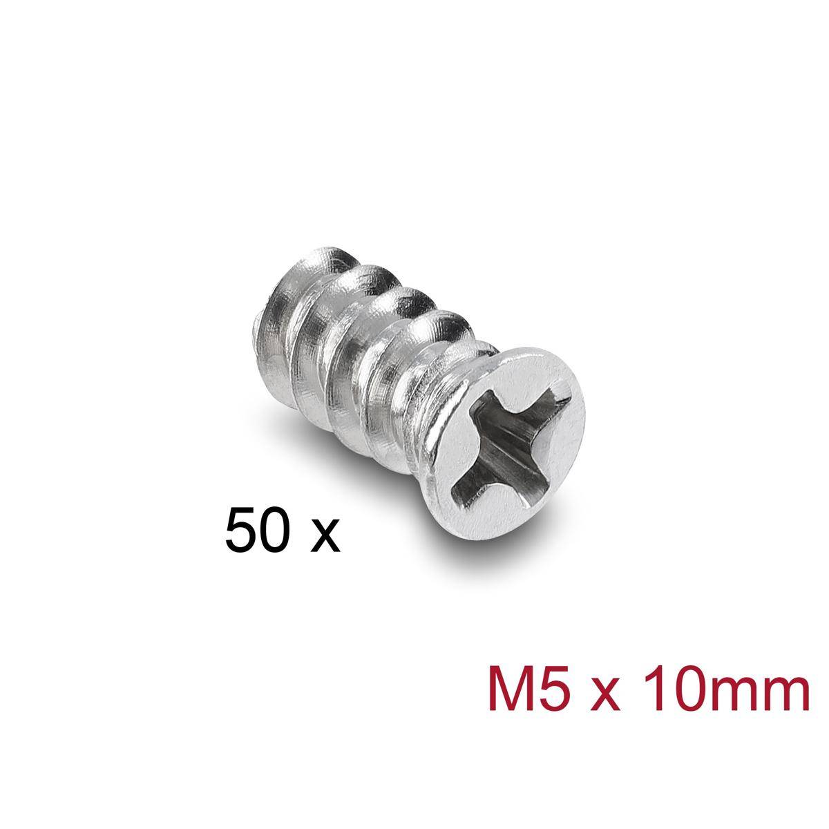 Bild einer silbernen M5 x 10mm Philipps-Kopfschraube, mit der Bezeichnung „50 x