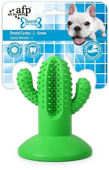 Grünes, kaktusförmiges Hundekausspielzeug mit strukturierten Noppen und Saugnapf-Basis, dargestellt auf einer Verpackung mit der Aufschrift „Dental Cactus - L - Green