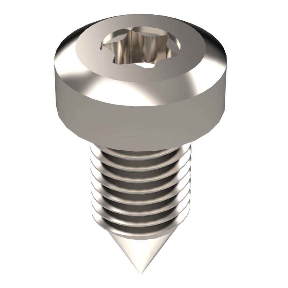Silberne Selbstbohrschraube mit Torx-Kopf und spitzer Spitze auf weißem Hintergrund.