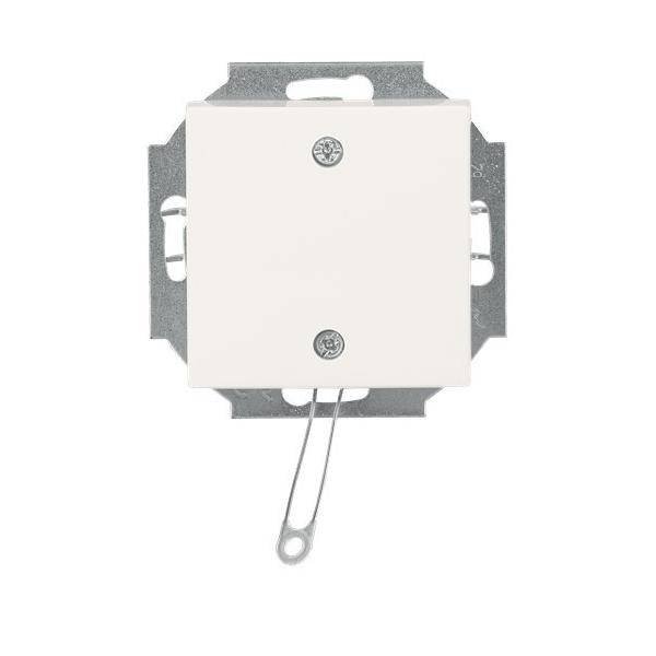Elektrischer Wandschalter mit beigefarbener Abdeckplatte, zwei sichtbaren Schrauben und einem metallischen Kippschalter/Hebel, der unten hängend auf weißem Hintergrund abgebildet ist.