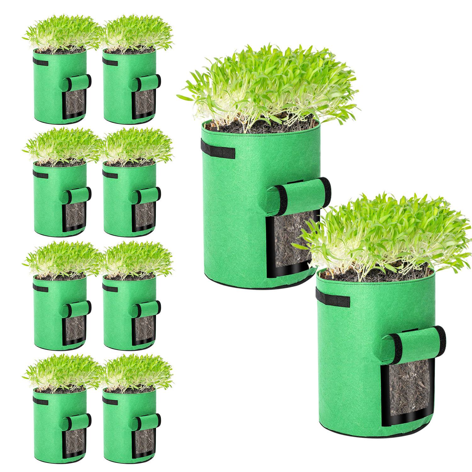 Grüne Stoff-Hydroponic-Anbausäcke gefüllt mit Sämlingen, dargestellt in mehreren Größen auf weißem Hintergrund.