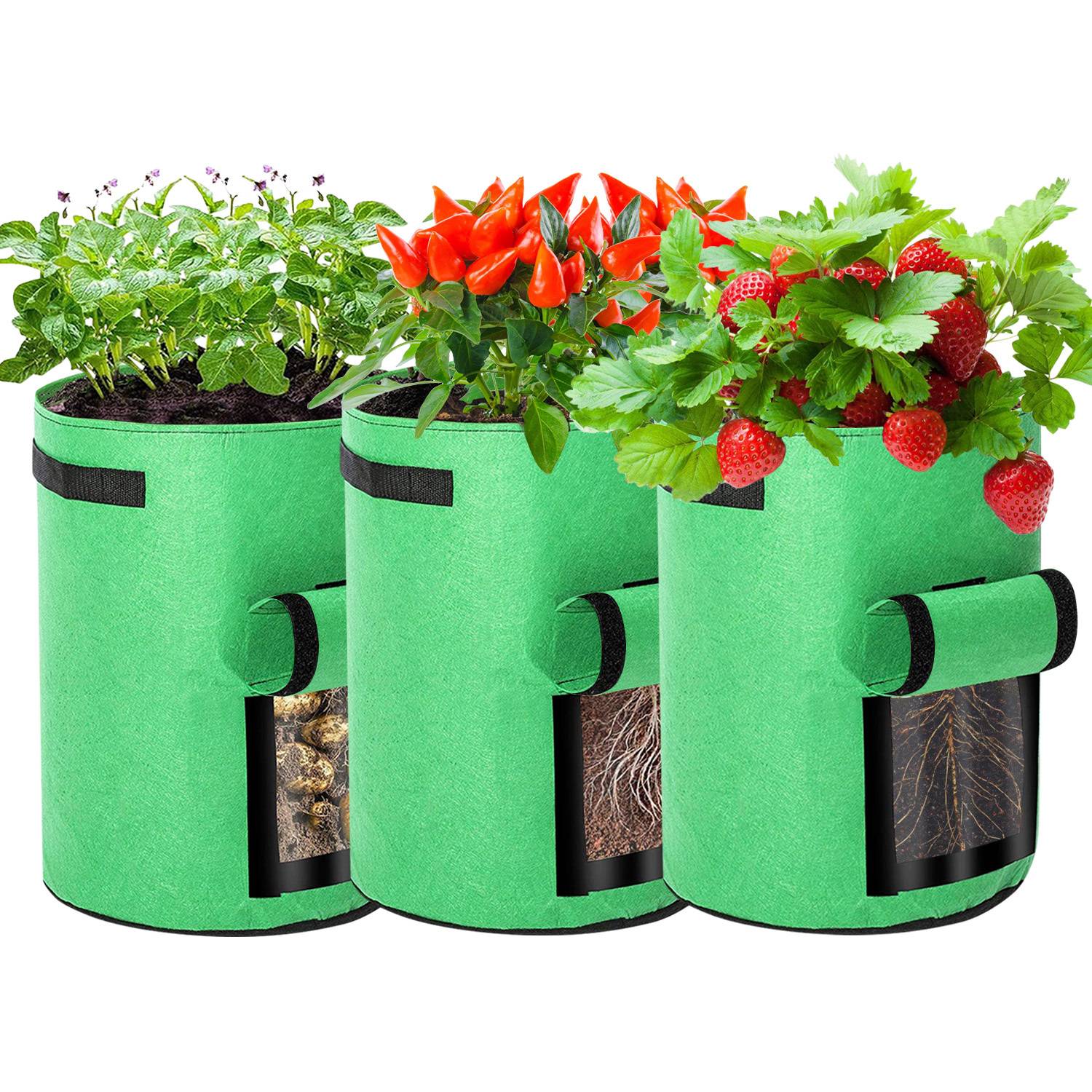 Drei grüne Stoffwachstumsbeutel enthalten Blattgemüse, Paprika und Erdbeeren und zeigen ein kompaktes Container-Gartenbau-Setup.