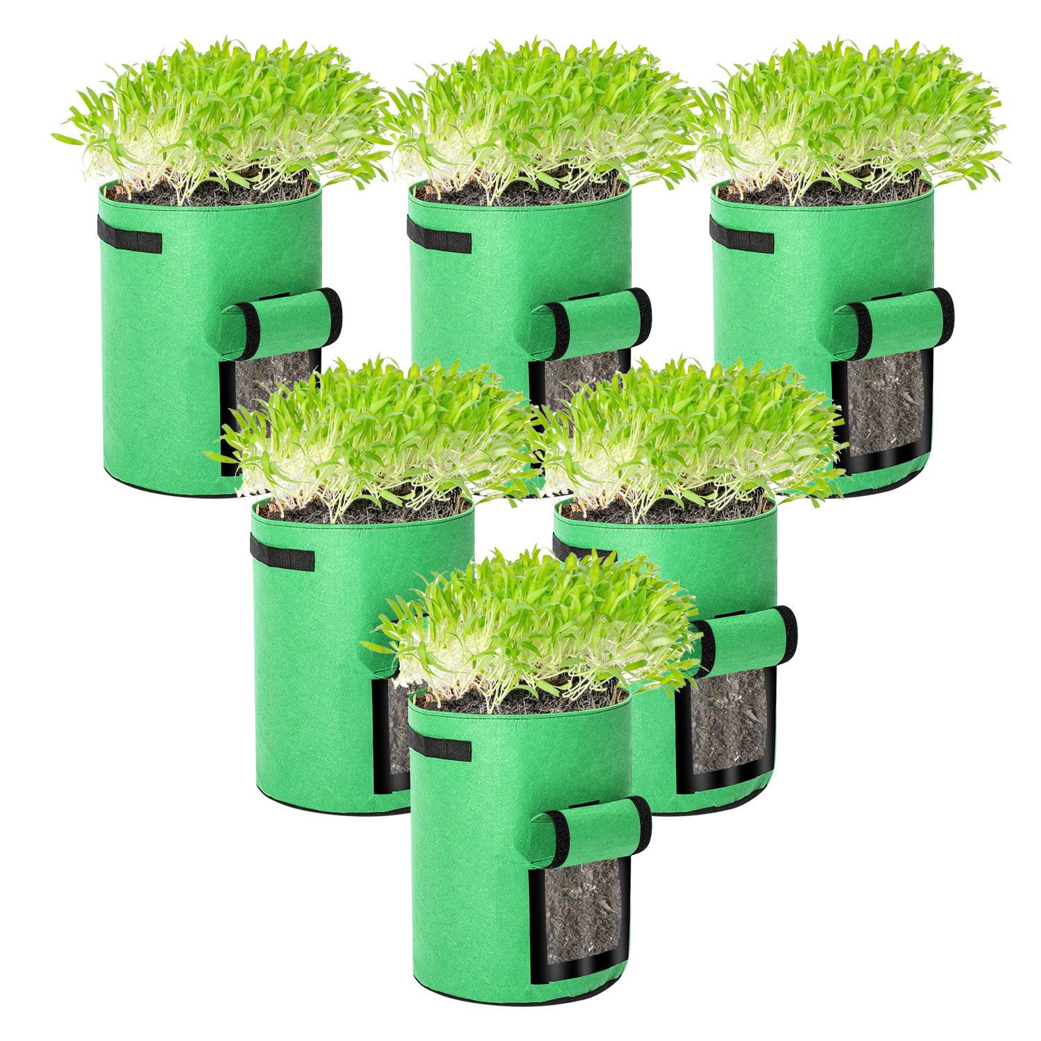 Fünf grüne zylindrische Hydroponic-Anzuchtbehälter mit Sämlingen, die aus der Oberseite sprießen, in einer clustenartig angeordneten Ausstellung auf weißem Hintergrund.