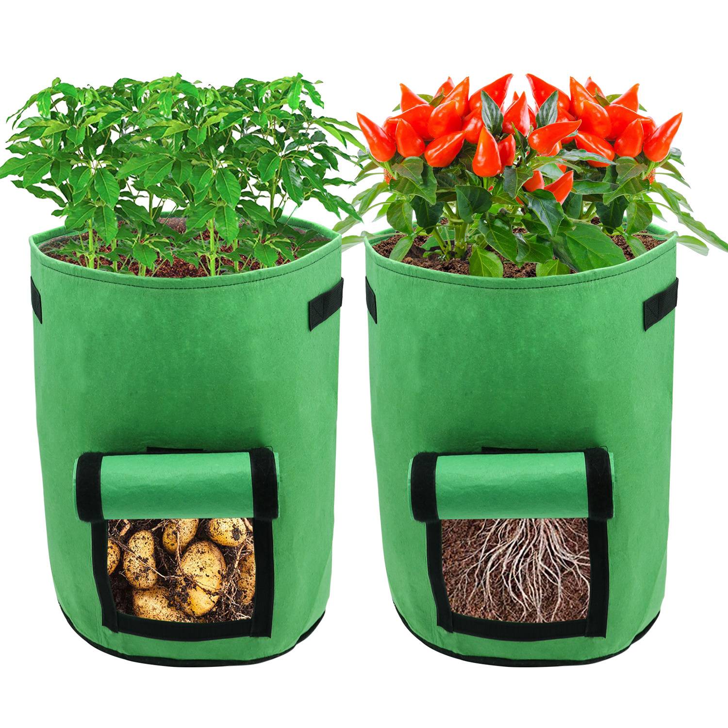 Zwei grüne Pflanzenquartiere aus Stoff mit transparenten Sichtfenstern, eines zeigt Kartoffelknollen und Wurzeln, das andere eine Paprika-Pflanze mit roten Paprikas.