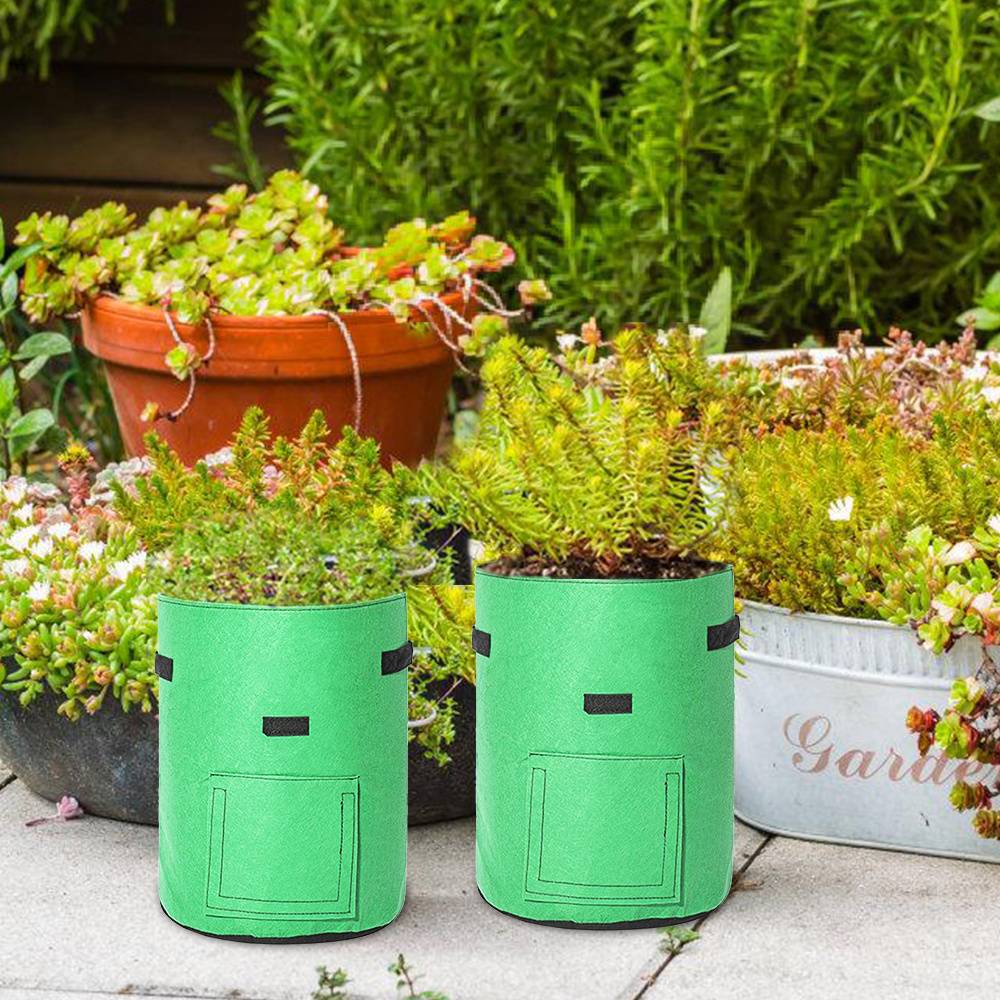 Zwei grüne Stoffblumentöpfe mit kleinen Pflanzen stehen auf einer Terrasse zwischen verschiedenen größeren Blumentöpfen und Grünpflanzen.