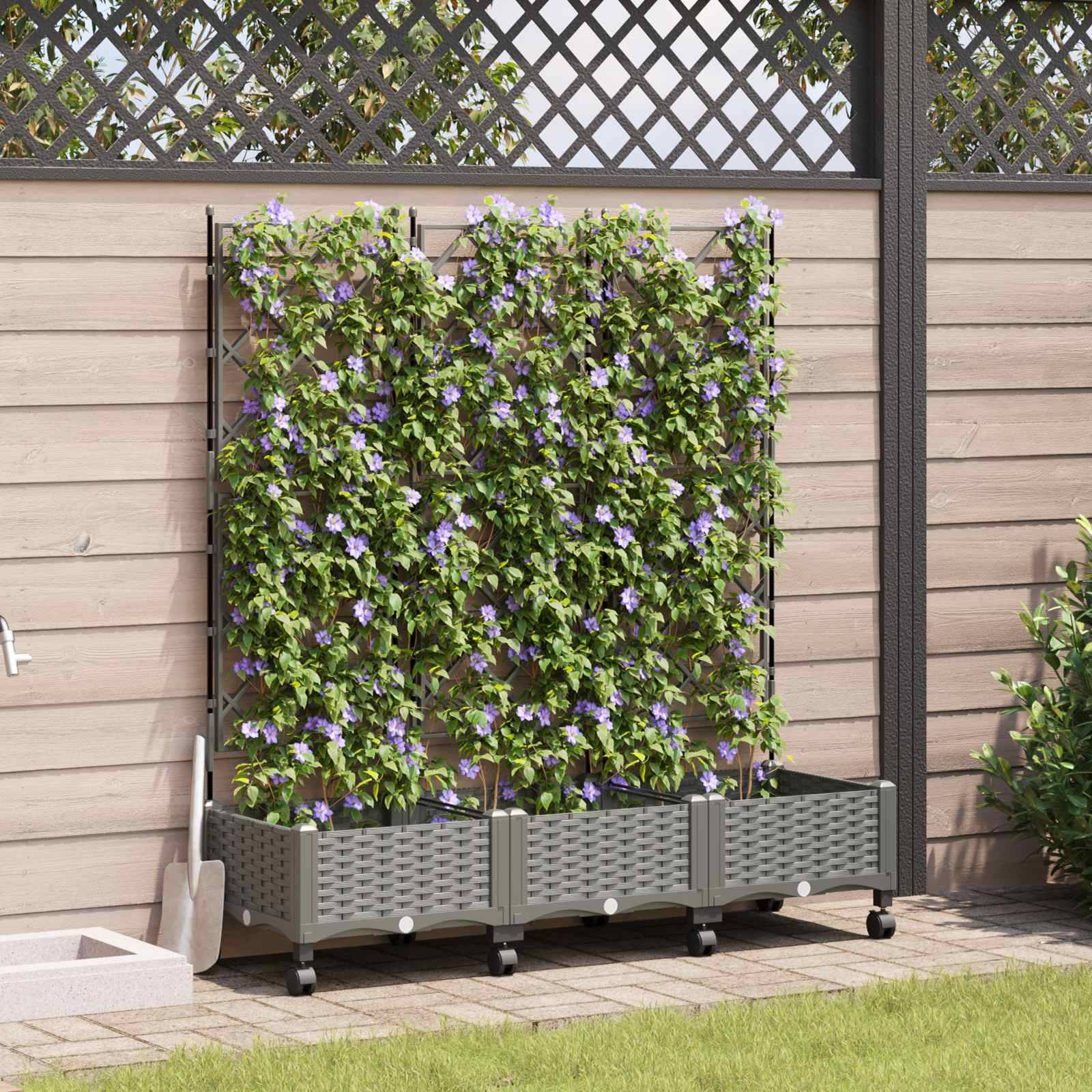 Ein hohes Spalier-Pflanzgefäß mit dichtem grünem Laub und kleinen violetten Blüten steht gegen einen Zaun auf einer Terrasse.