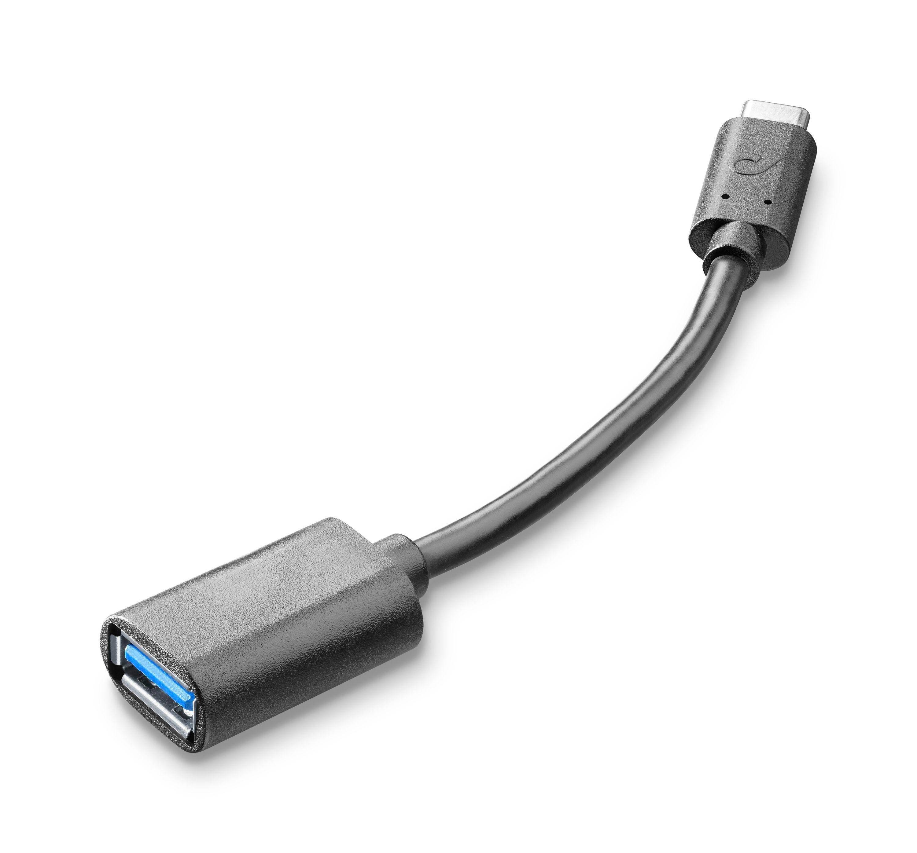 USB-C zu USB-A Adapterkabel auf weißem Hintergrund, mit USB-C Stecker und blauem USB-A Buchse.