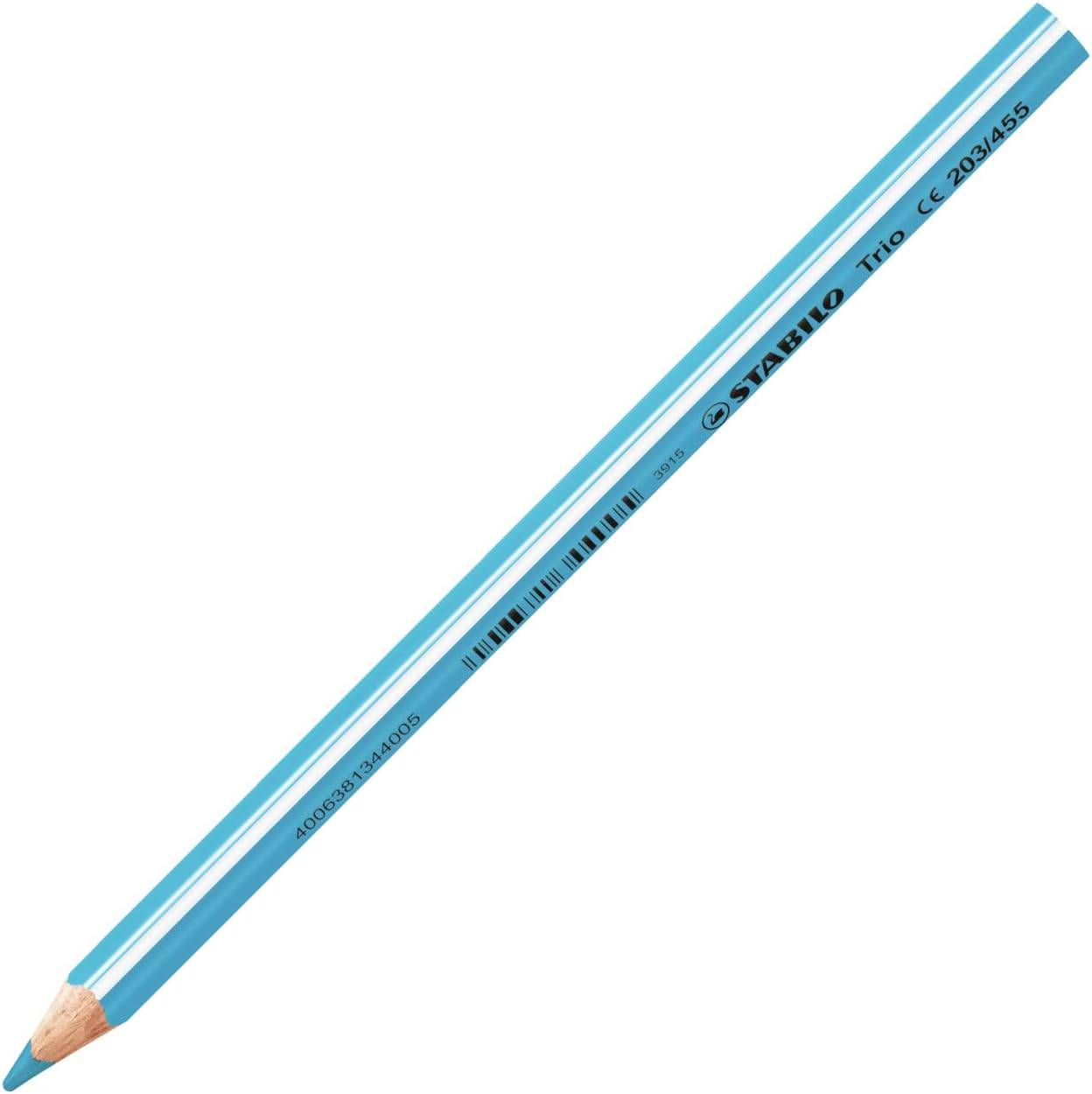 Blauer Holzstift mit angespitzter Spitze, beschriftet mit 