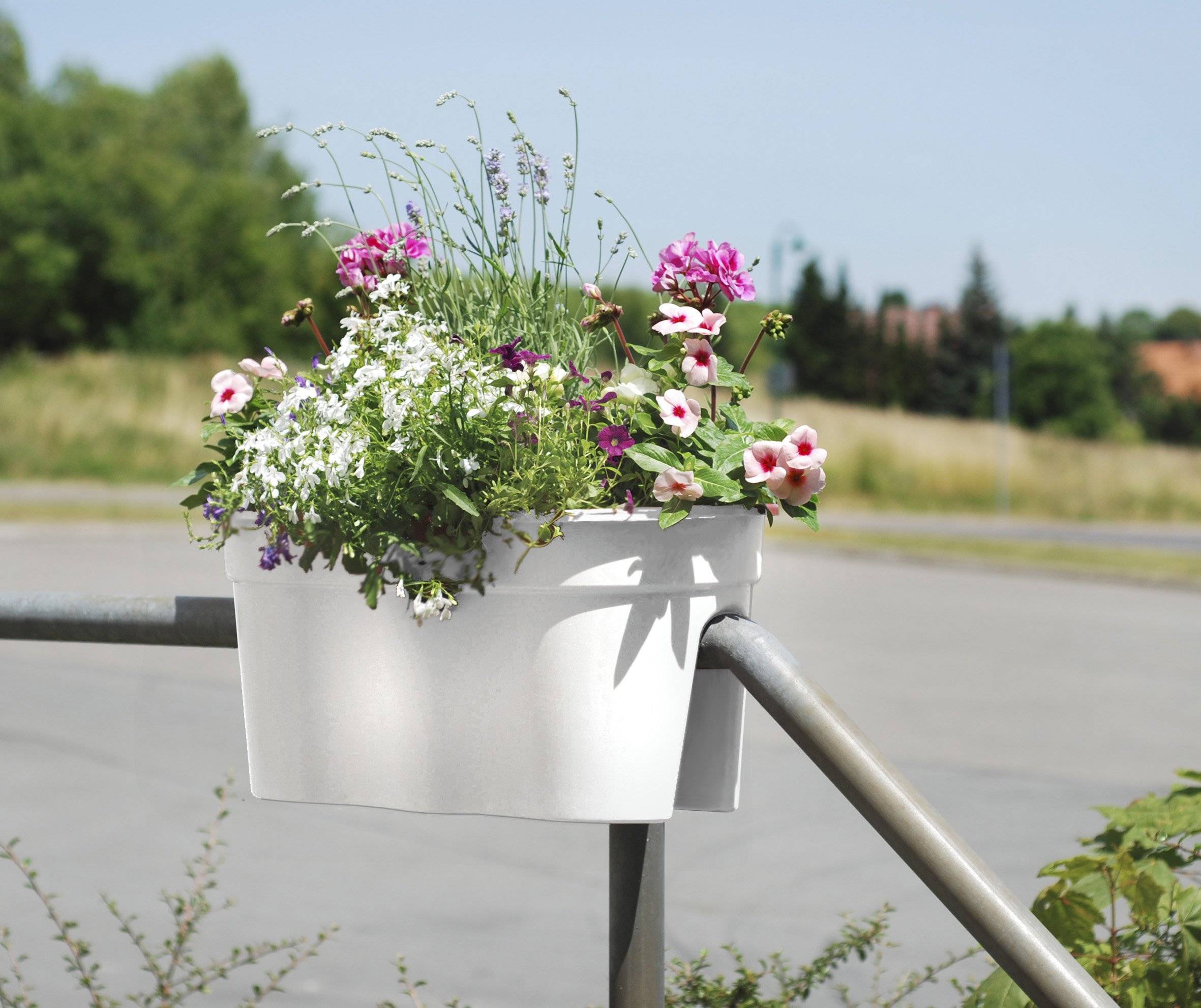 Weiße Blumenkiste auf einem Geländer gefüllt mit rosa und weißen Blüten, im Freien mit unscharfem Straße und Bäumen im Hintergrund.