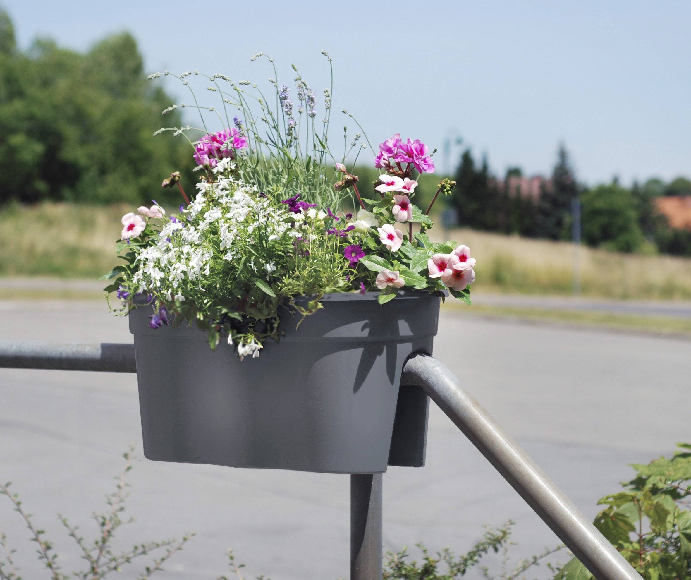 Ein grauer Blumenkübel auf einem Geländer hält blühende rosa, weiße und violette Blumen draußen neben einer Straße.