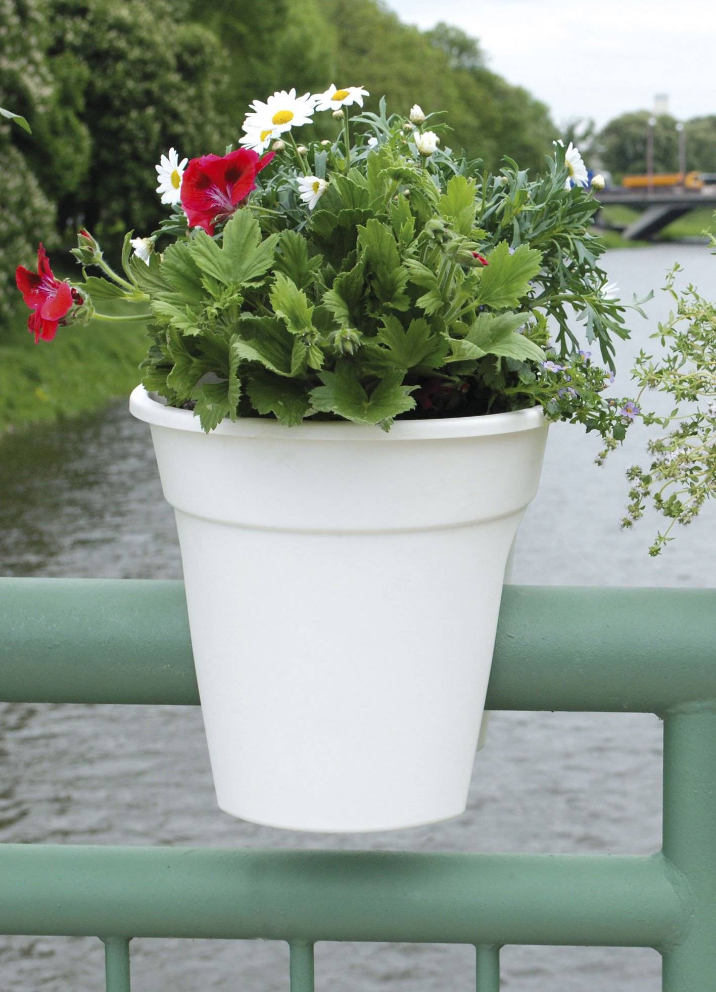 Weißer Blumentopf mit roten und weißen Blumen auf einem grünen Brückengeländer am Wasser