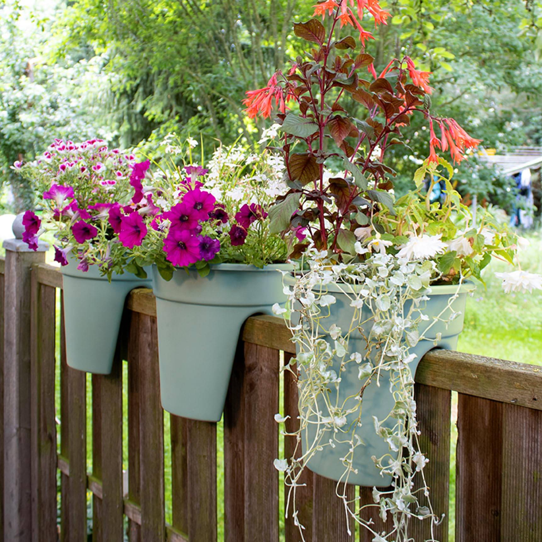 Bunte Topfblumen ergießen sich über ein Holzgeländer einer Terrasse, mit rosa, weißen und roten Blüten vor einem Gartenhintergrund.