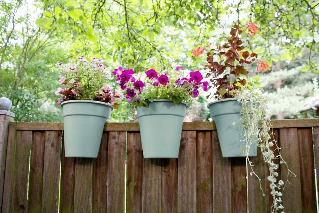 Drei hängende Blumentöpfe mit rosa, violetten und roten Blüten auf einem Holzzaun unter belaubten Bäumen.