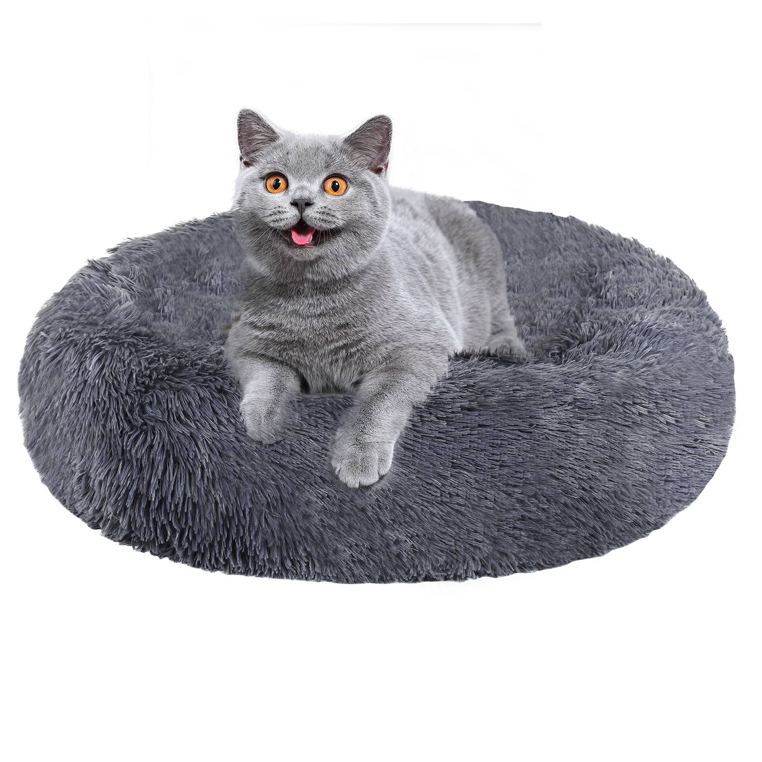 Graue Katze liegt auf einem flauschigen runden dunkelgrauen Haustierbett vor weißem Hintergrund.