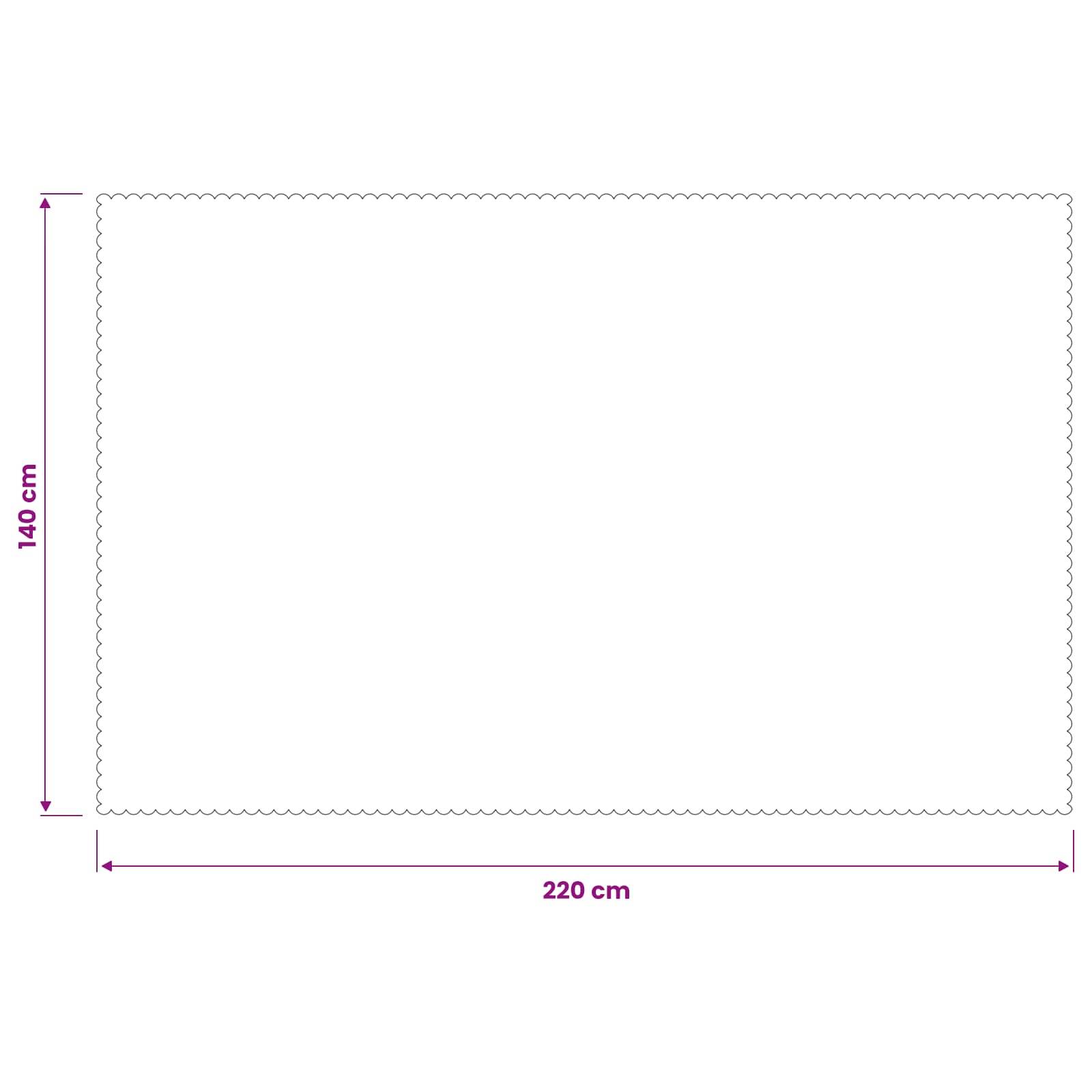 Leeres rechteckiges Blattdiagramm mit einer Breite von 220 cm und einer Höhe von 140 cm.