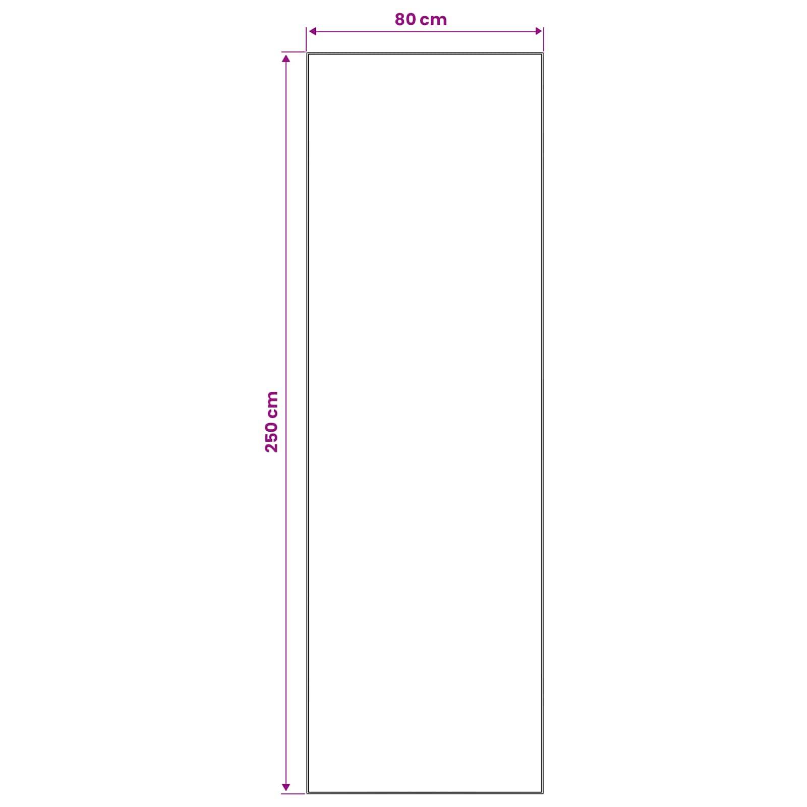 Rechteckiges Formdiagramm mit einer Breite von 80 cm und einer Höhe von 250 cm, das die Abmessungen eines vertikalen Banners zeigt.