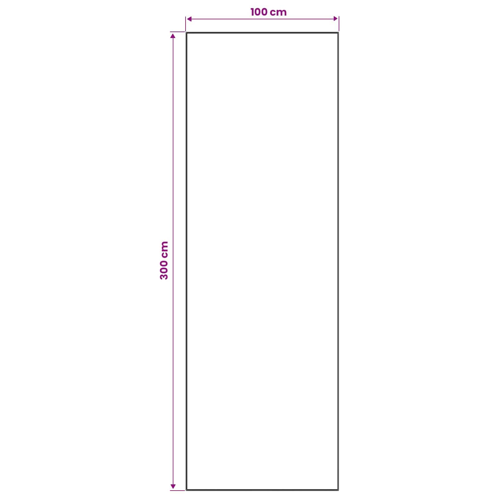 Diagramm eines hohen Rechtecks mit einer Breite von 100 cm und einer Höhe von 300 cm, das seine Abmessungen zeigt.