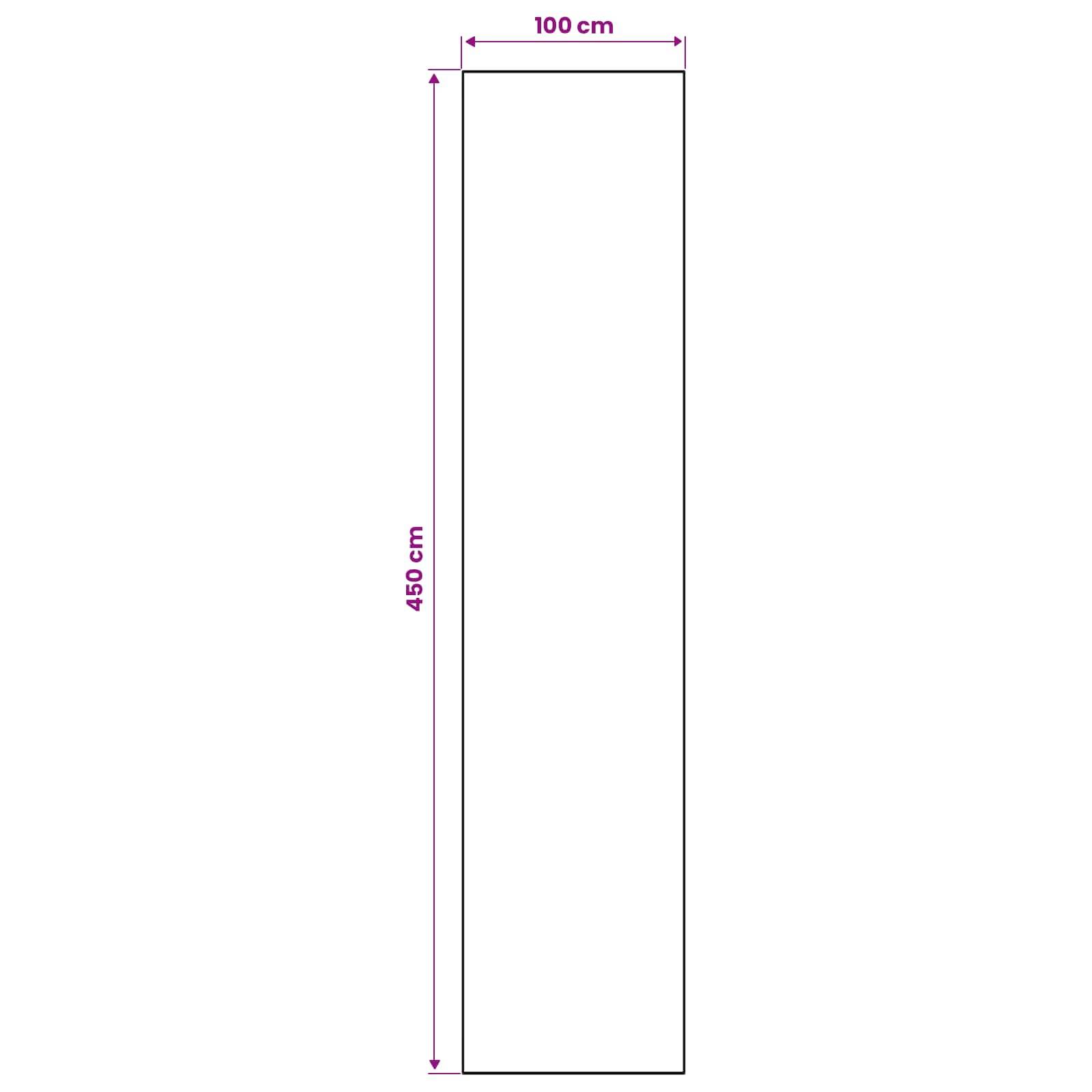 Vertikales Rechteck-Diagramm mit einer Breite von 100 cm und einer Höhe von 450 cm, das die Abmessungen einer hohen, schmalen Form zeigt.
