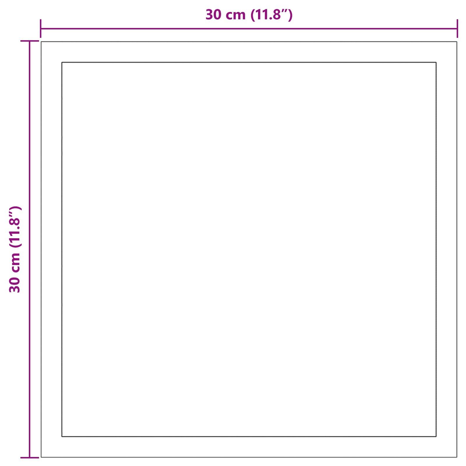 Quadratisches Rahmendiagramm mit einem 30 cm mal 30 cm großen Bildbereich innerhalb einer größeren Einfassung, beschriftet mit 30 cm (11,8 Zoll) oben und links.
