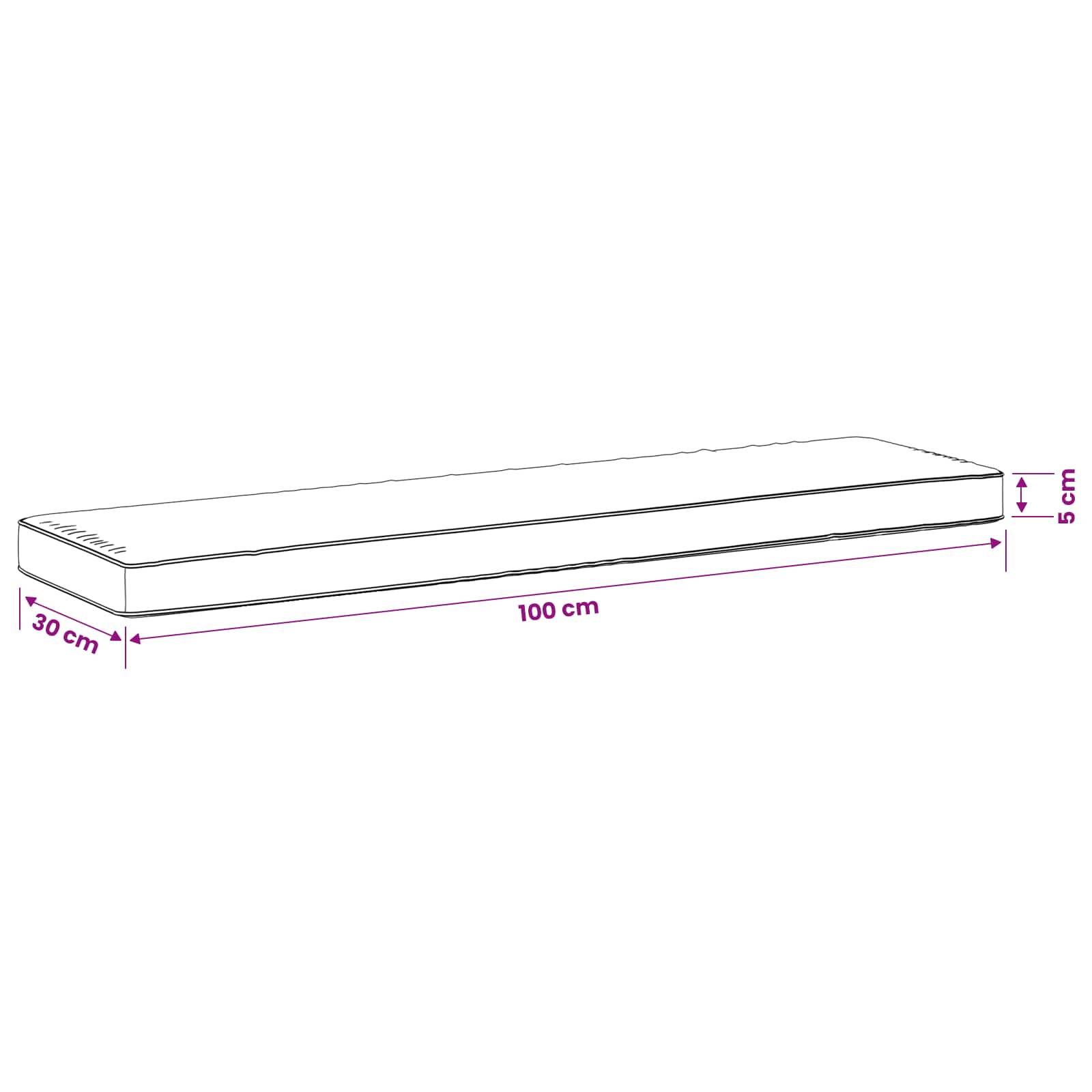 Illustration einer rechteckigen Matratze oder eines Kissens mit den Maßen 100 cm Länge, 30 cm Breite und 5 cm Höhe.