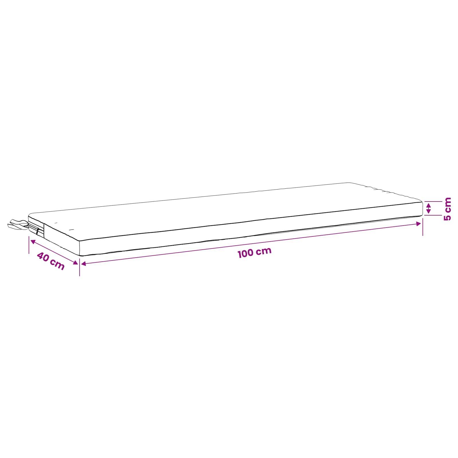 Diagramm einer rechteckigen Matratze oder eines Kissens mit den Abmessungen: 100 cm lang, 40 cm breit und 5 cm dick.