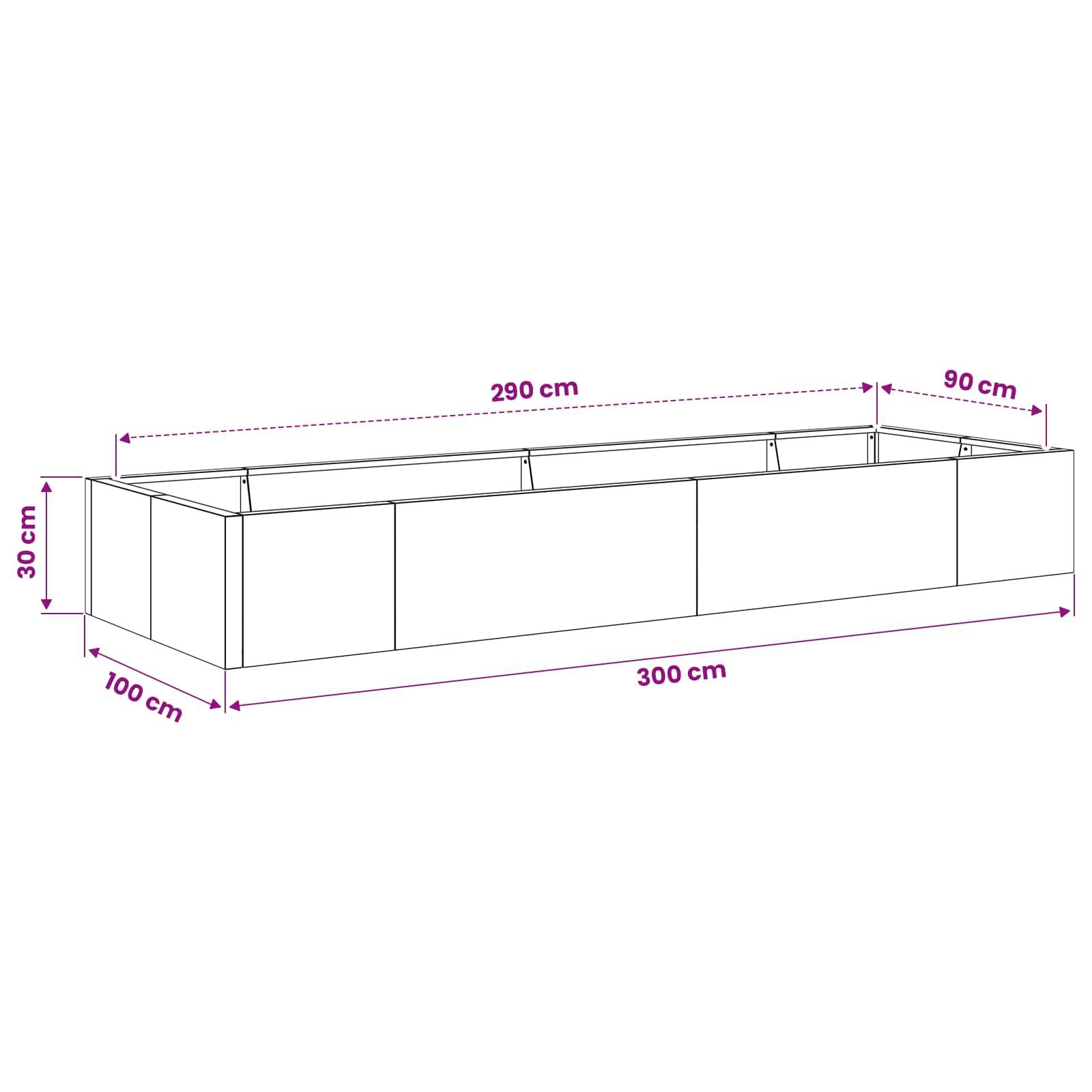 Diagramm eines rechteckigen Pflanzenkastens mit den folgenden Abmessungen: 300 cm lang, 100 cm breit und 30 cm hoch, mit einer inneren Länge von 290 cm und einem 90 cm breiten Endbereich.