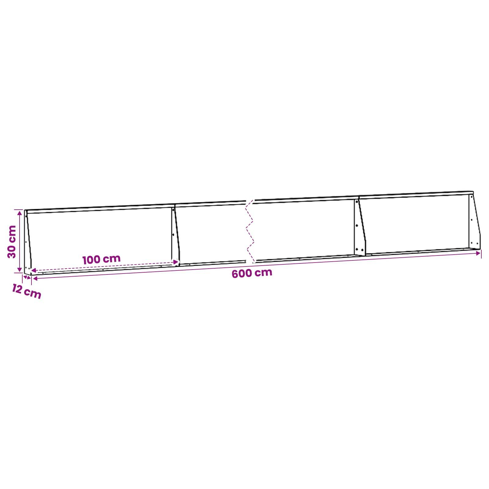 Technische Zeichnung eines langen rechteckigen Rahmens, 600 cm Gesamtlänge, 30 cm Höhe und 12 cm Tiefe, mit einem markierten 100-cm-Abschnitt und einer Mittelbrechlinie.