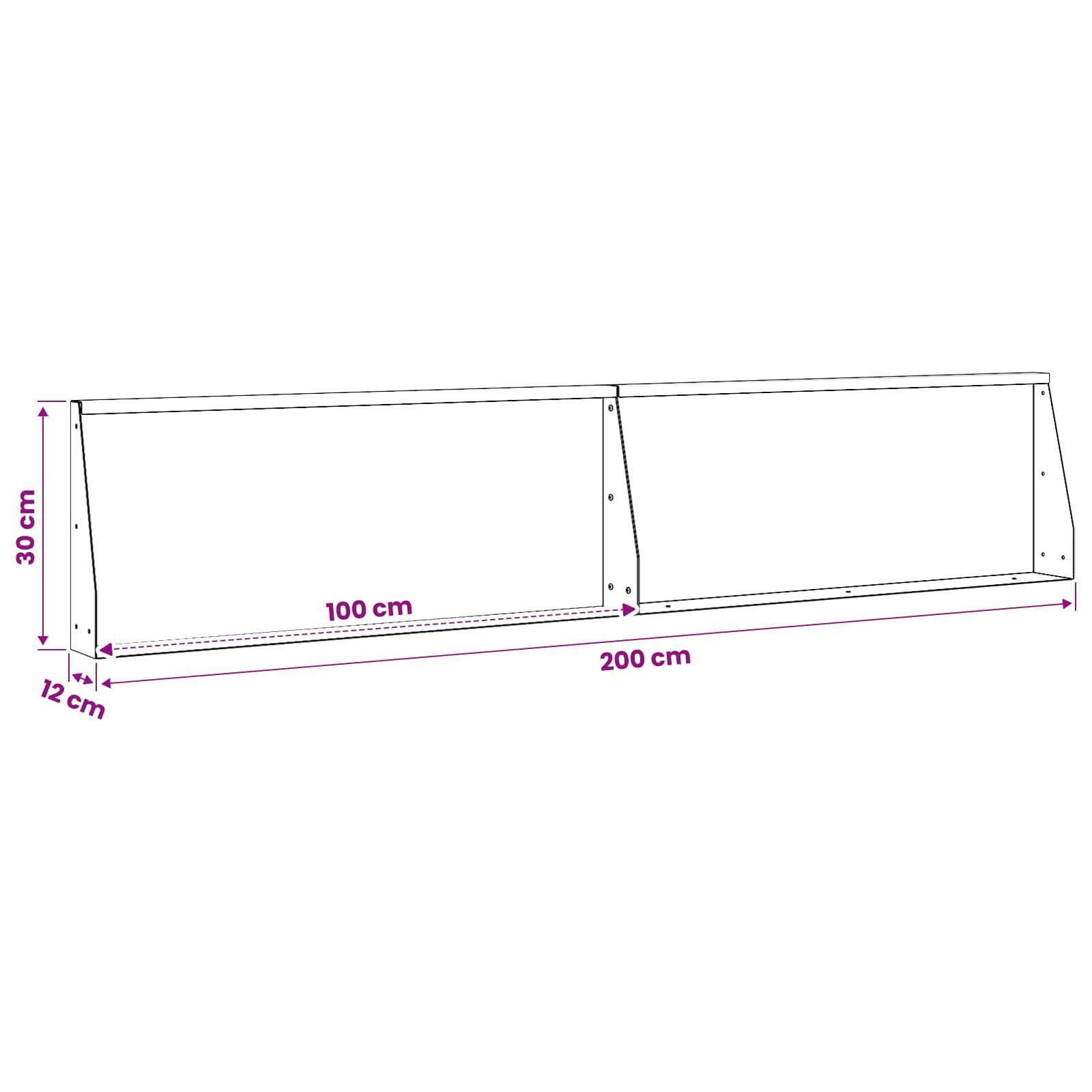 Technische Zeichnung eines langen rechteckigen Regals/Werkbankrahmens mit einer Länge von 200 cm, einer Höhe von 30 cm und einer Tiefe von 12 cm, mit einem 100 cm großen Abschnitt, der auf der Basis gekennzeichnet ist.
