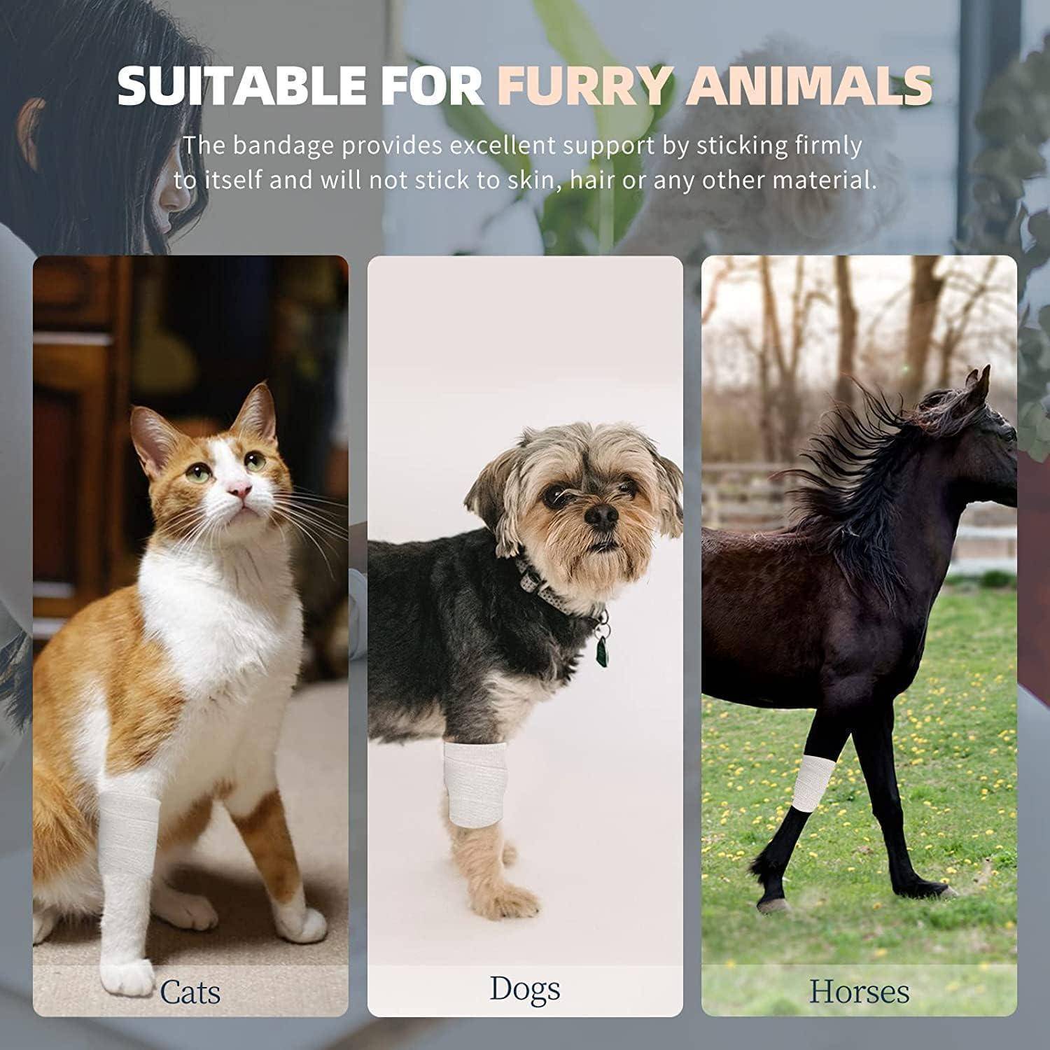 Infografik zeigt ein Pflaster, das für pelzige Tiere geeignet ist, mit Beispielen auf Katzen, Hunden und Pferden und Text, der besagt, dass es fest an sich selbst haftet und nicht an Haut oder Haaren.