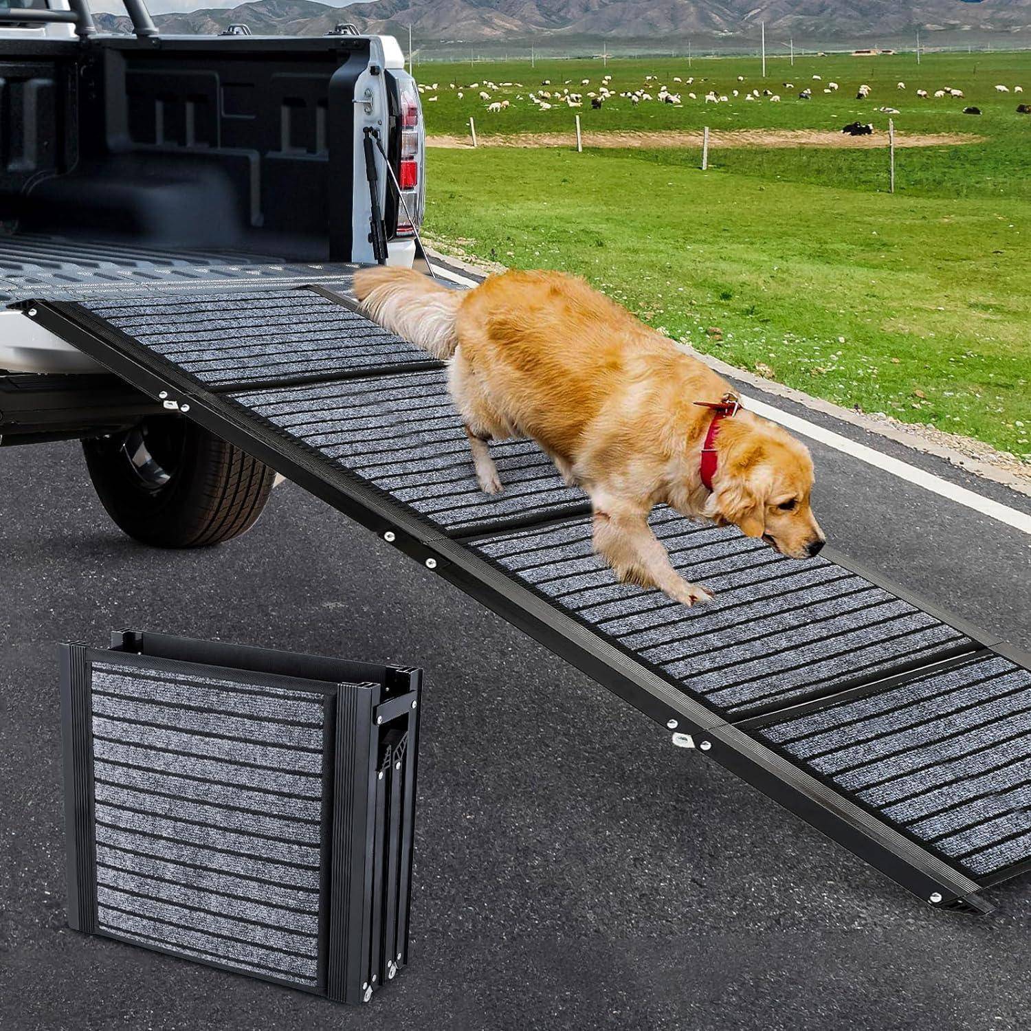Ein Golden Retriever geht eine tragbare Rampe herunter, die sich hinten an einem Pickup-Laster befindet; eine zusammengeklappte Rampe liegt auf dem Boden daneben.