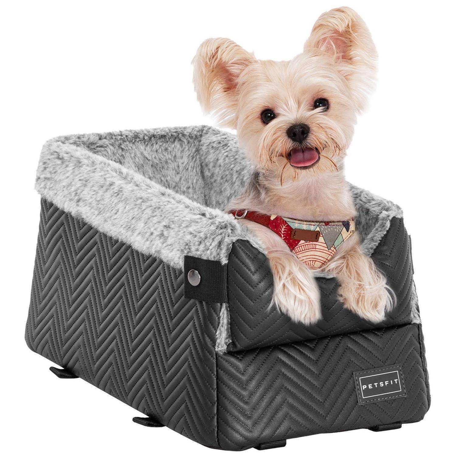 Kleiner beiger Hund sitzt in einem grauen gesteppten PETSFIT-Transportbett mit weicher weißer Polsterung und schaut in die Kamera.