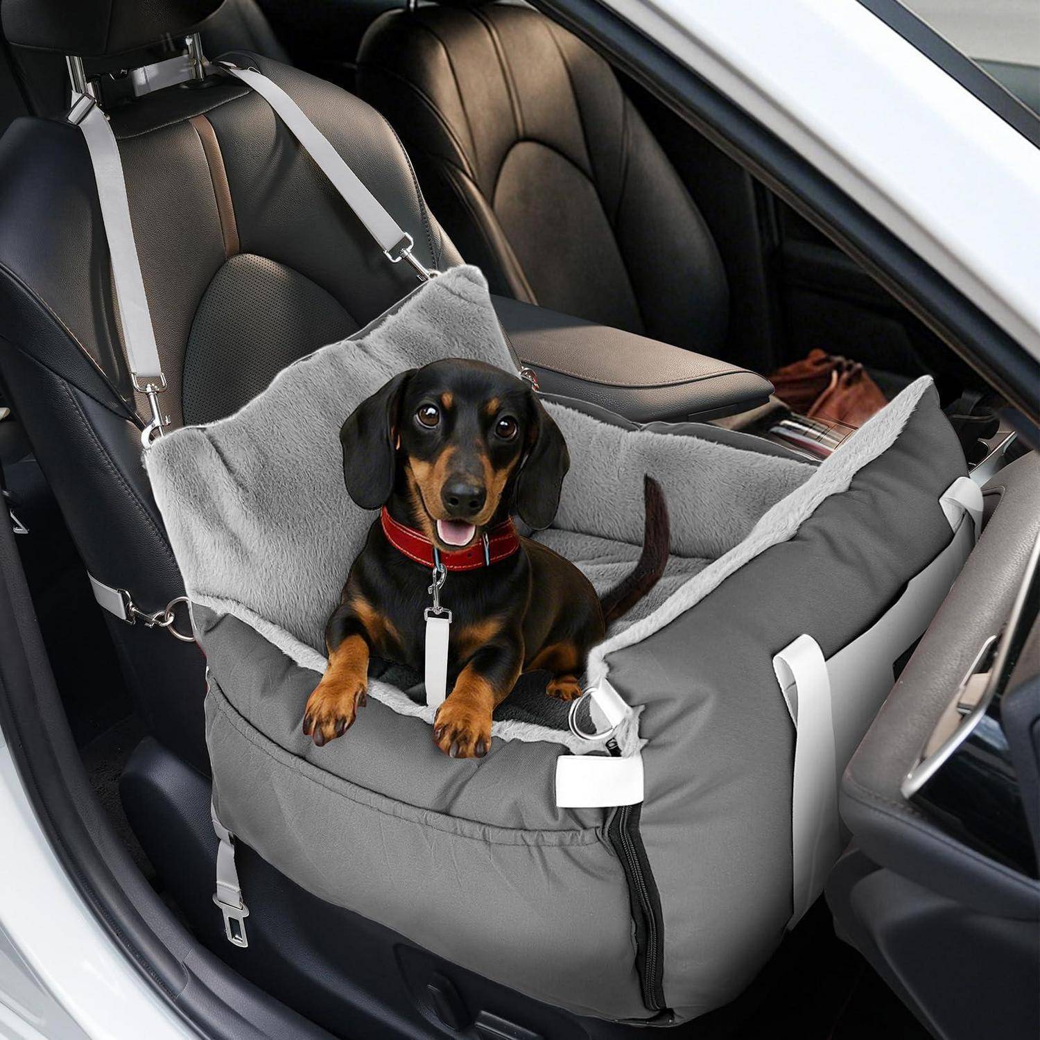 Kleiner Dackel sitzt in einem grauen Haustier-Autositz im Auto, gesichert mit Riemen und trägt ein rotes Halsband.