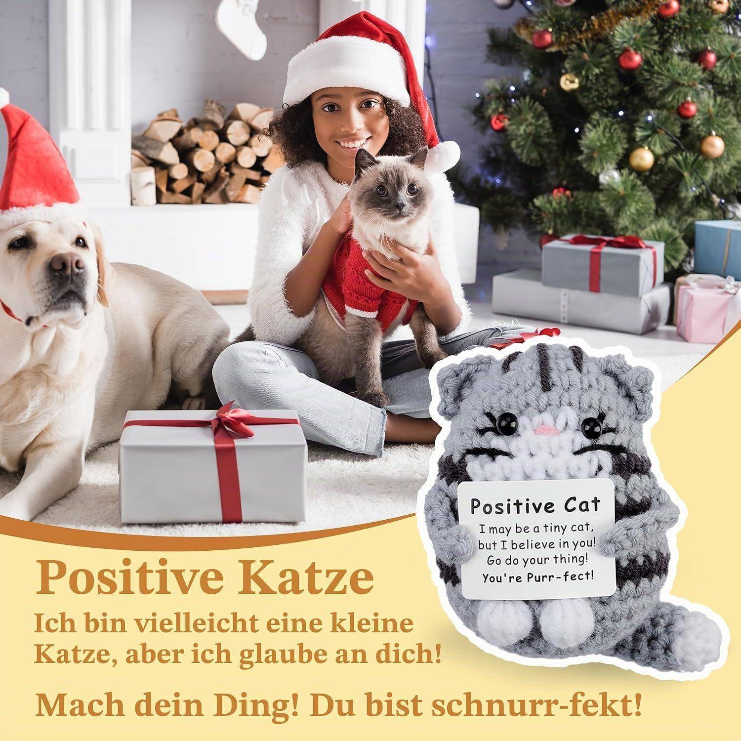 Joeyan Geschenk für Teenager,600ml Lustige Katzen Glasbecher mit Deckel und Strohhalm & Pocket Hug Positive Kartoffel,Motivationsgeschenk für Katzen