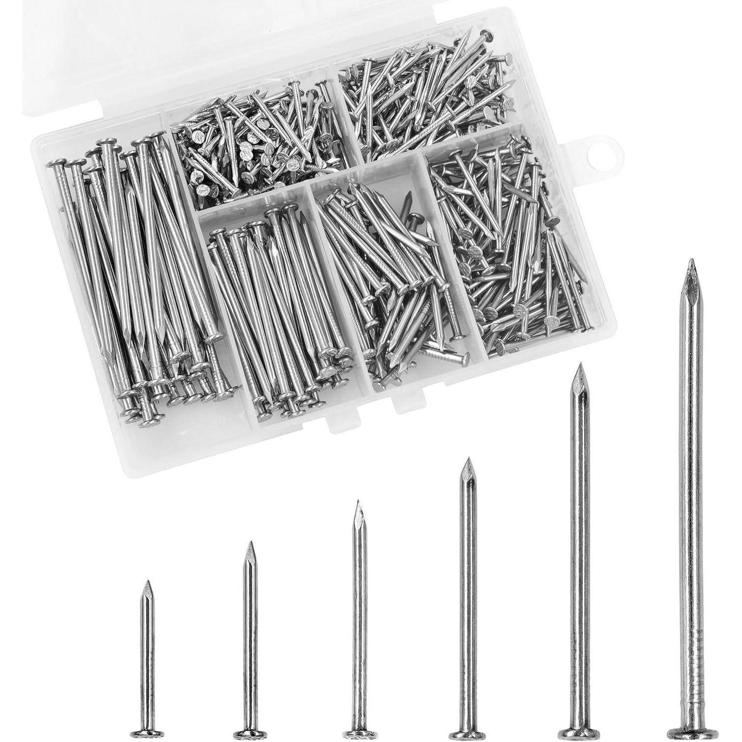 Sortierte Metallnägel in einer Kunststoff-Organizer-Box mit sechs Nägeln darunter, die unterschiedliche Größen auf weißem Hintergrund zeigen.