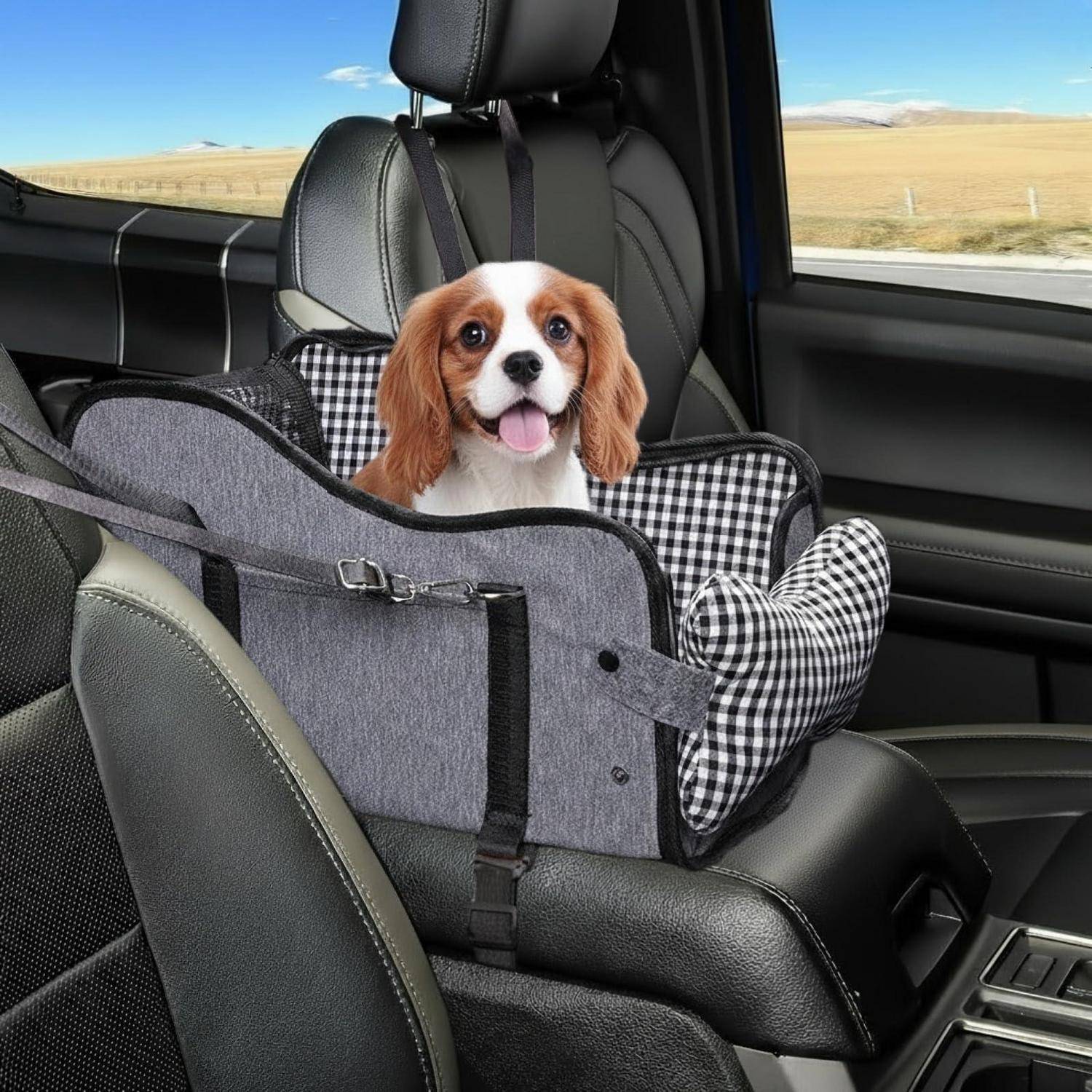 Kleiner Hund, der in einem karierten Autokindersitz auf der Rückbank sitzt und mit heraushängender Zunge in die Kamera schaut.