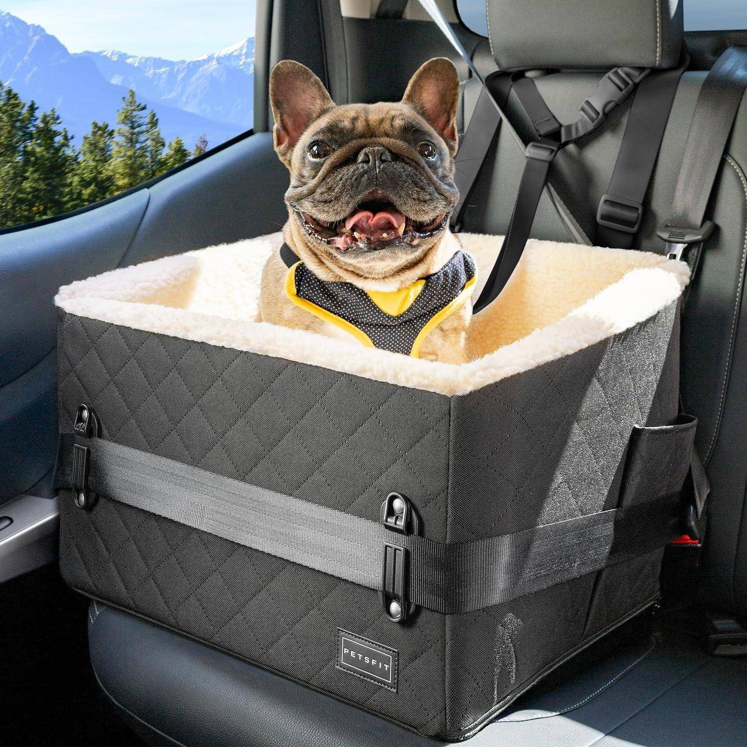 Französische Bulldogge sitzt in einer gepolsterten Transportbox, die auf einem Autositz befestigt ist, mit Bergen, die durch das Fenster sichtbar sind.