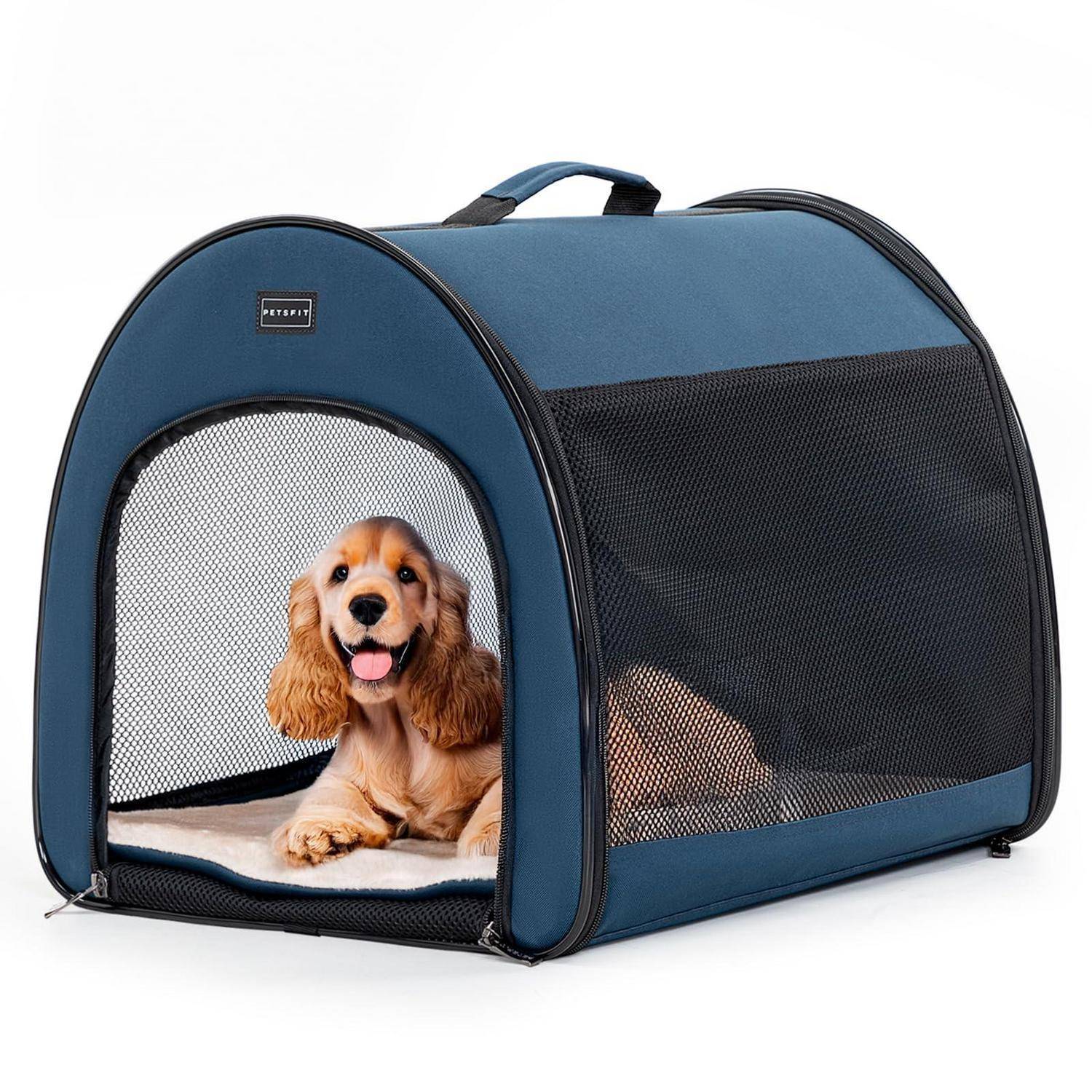 Blaue tragbare Haustiertransportbox mit Mesh-Fenstern, in der ein kleiner brauner Welpe auf einem weißen Kissen liegt.