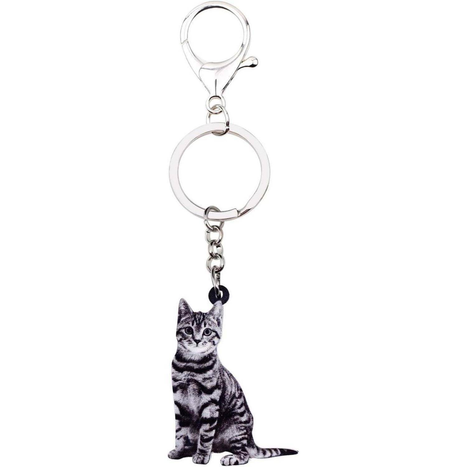 Katzenförmiger Schlüsselanhänger mit silberner Schließe, Ring und baumelndem Tabby-Katzen-Anhänger.