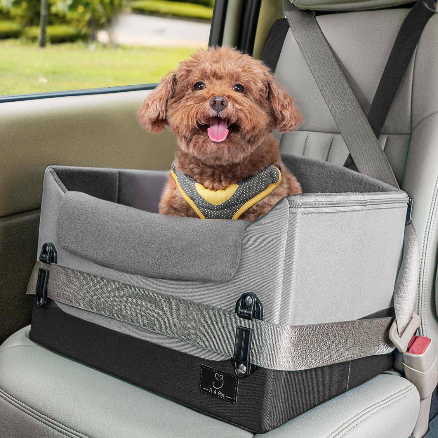Kleiner brauner Hund sitzt in einem grauen Haustier-Booster-Sitz auf der Rückbank eines Autos, trägt ein Geschirr und hechelt.