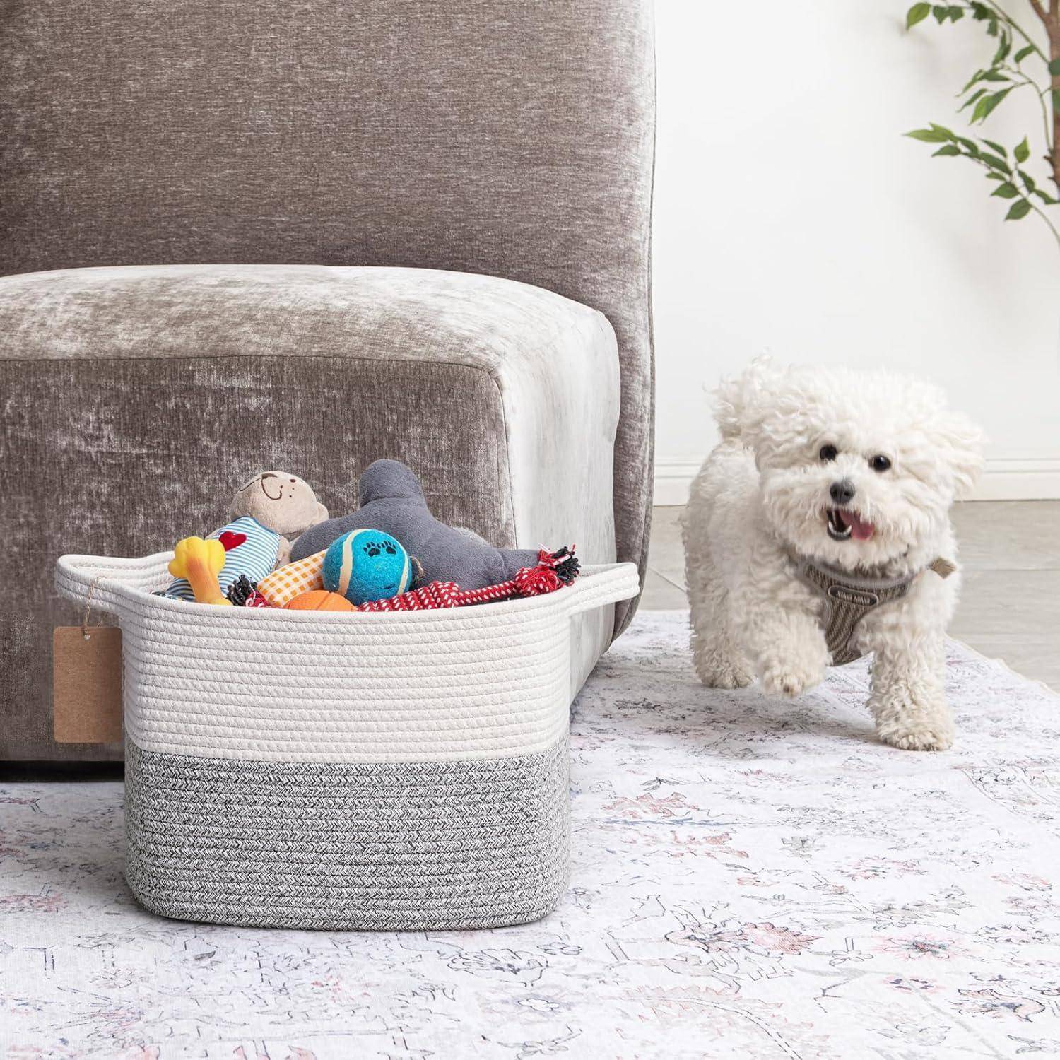 Kleiner weißer flauschiger Hund mit Geschirr, der neben einem spielzeuggeflllten geflochtenen Korb in einem Wohnzimmer spaziert.