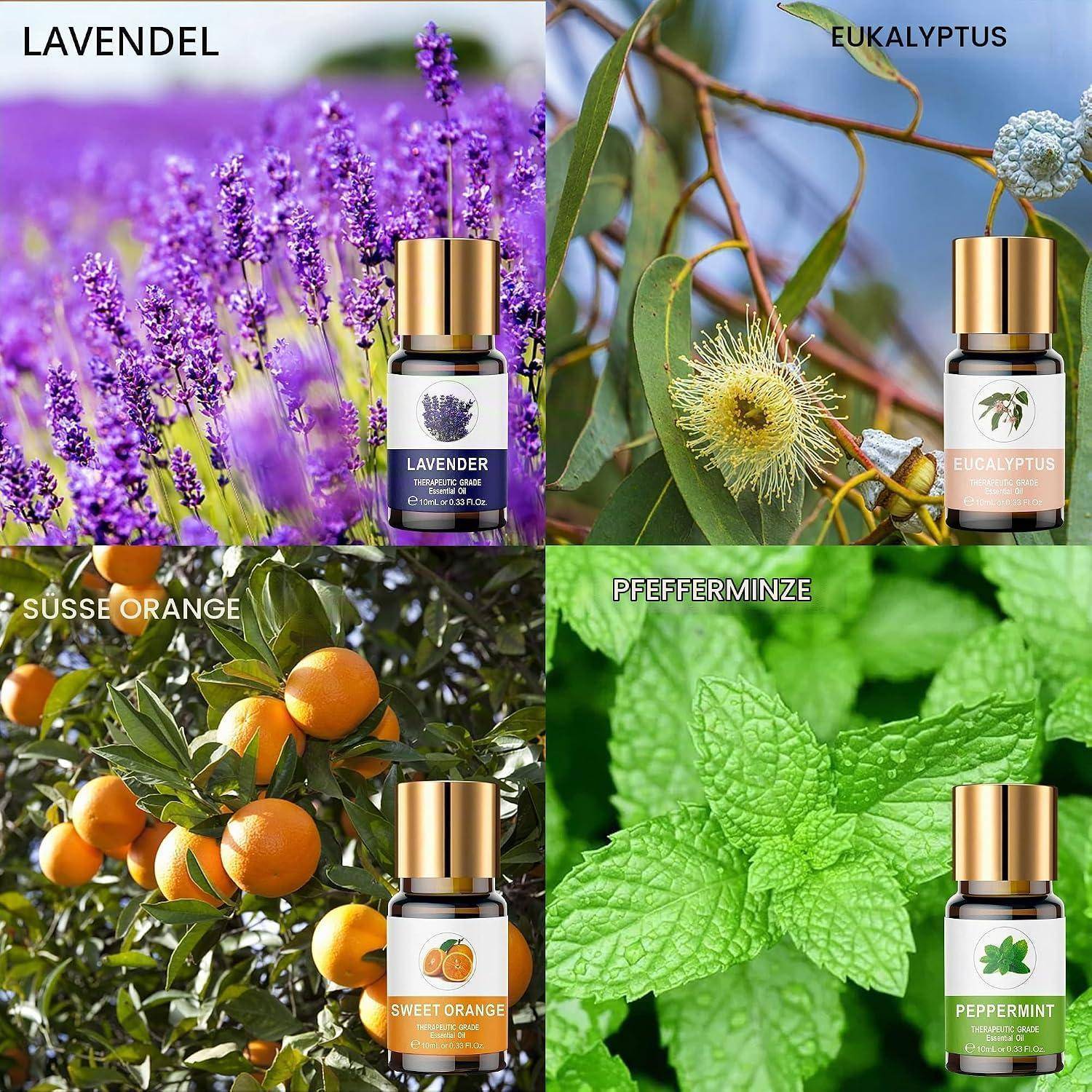 Vier Flaschen mit ätherischen Ölen mit den Etiketten Lavendel, Eukalyptus, Süßorange und Pfefferminze, jeweils mit entsprechenden Pflanzenabbildungen in einer vierteiligen Collage dargestellt.